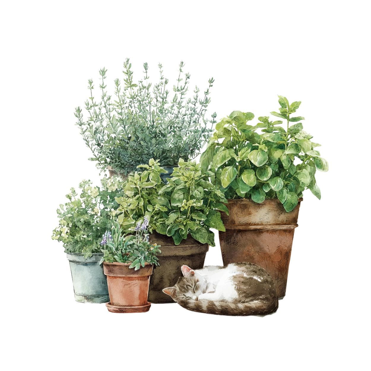 Watercolor Herbs in Pot with cat, Watercolor gardening clipart ,plants png ,herbs clipart, rustic farmhouse clipart, potted plants and herbs - image 4