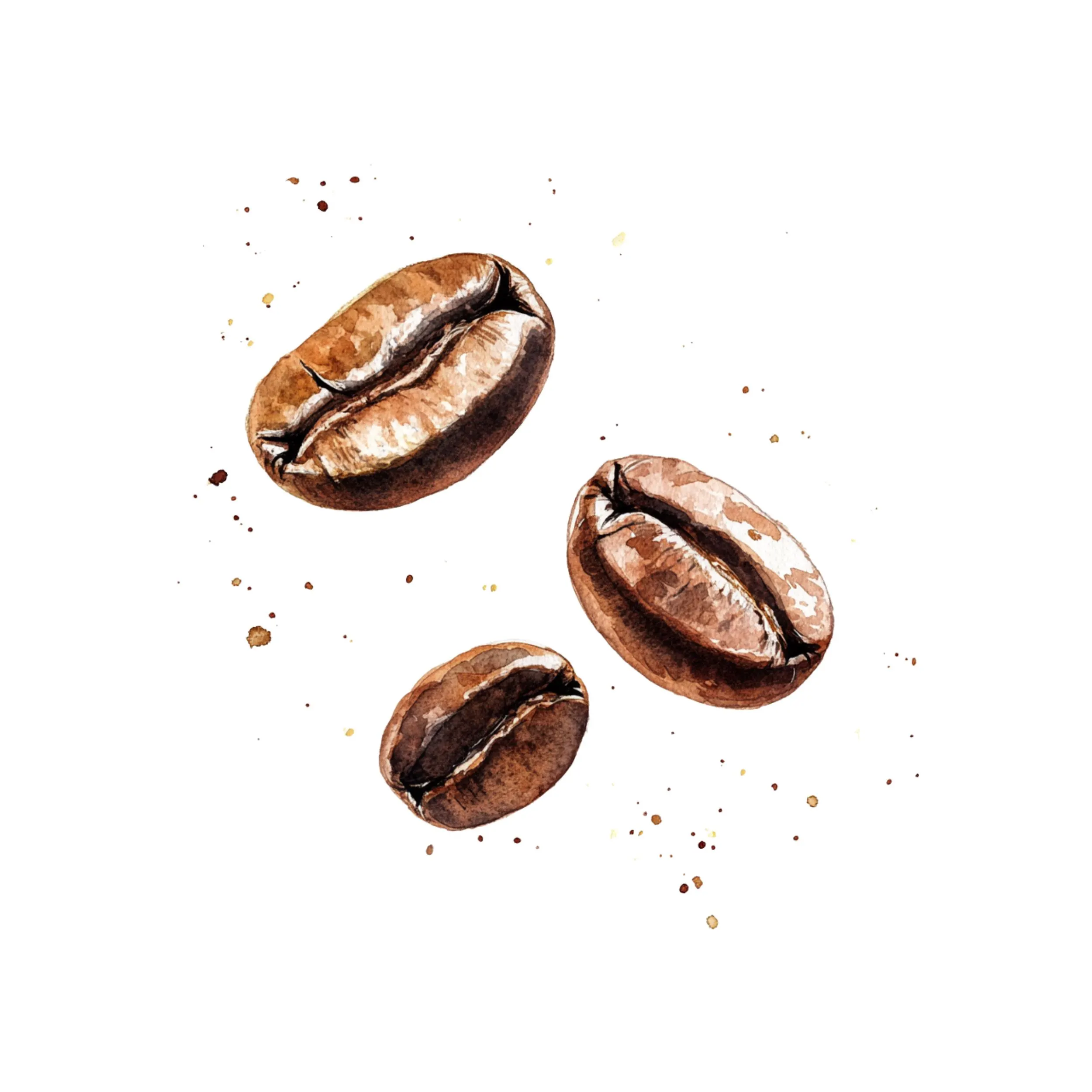 Coffee Bean clipart, Coffee Clipart, Coffee Lover, coffee beans, Coffee beans png, Coffee time, Coffee Mug, coffee watercolor, coffee bean - image 5