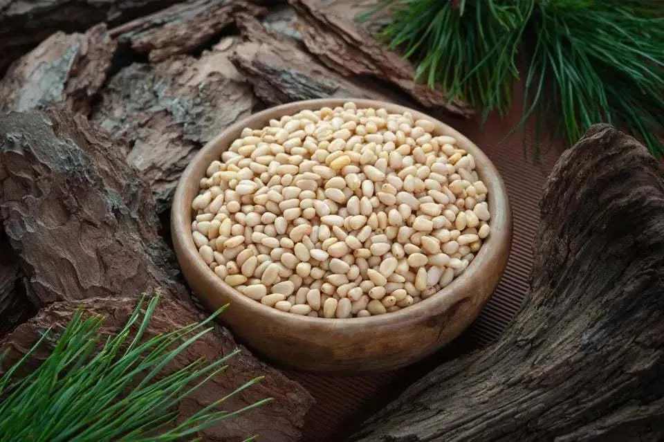Siberian Peeled Pine Cedar Nuts Organic Non-GMO Raw Vegan 300g (0.66lb) - image 3
