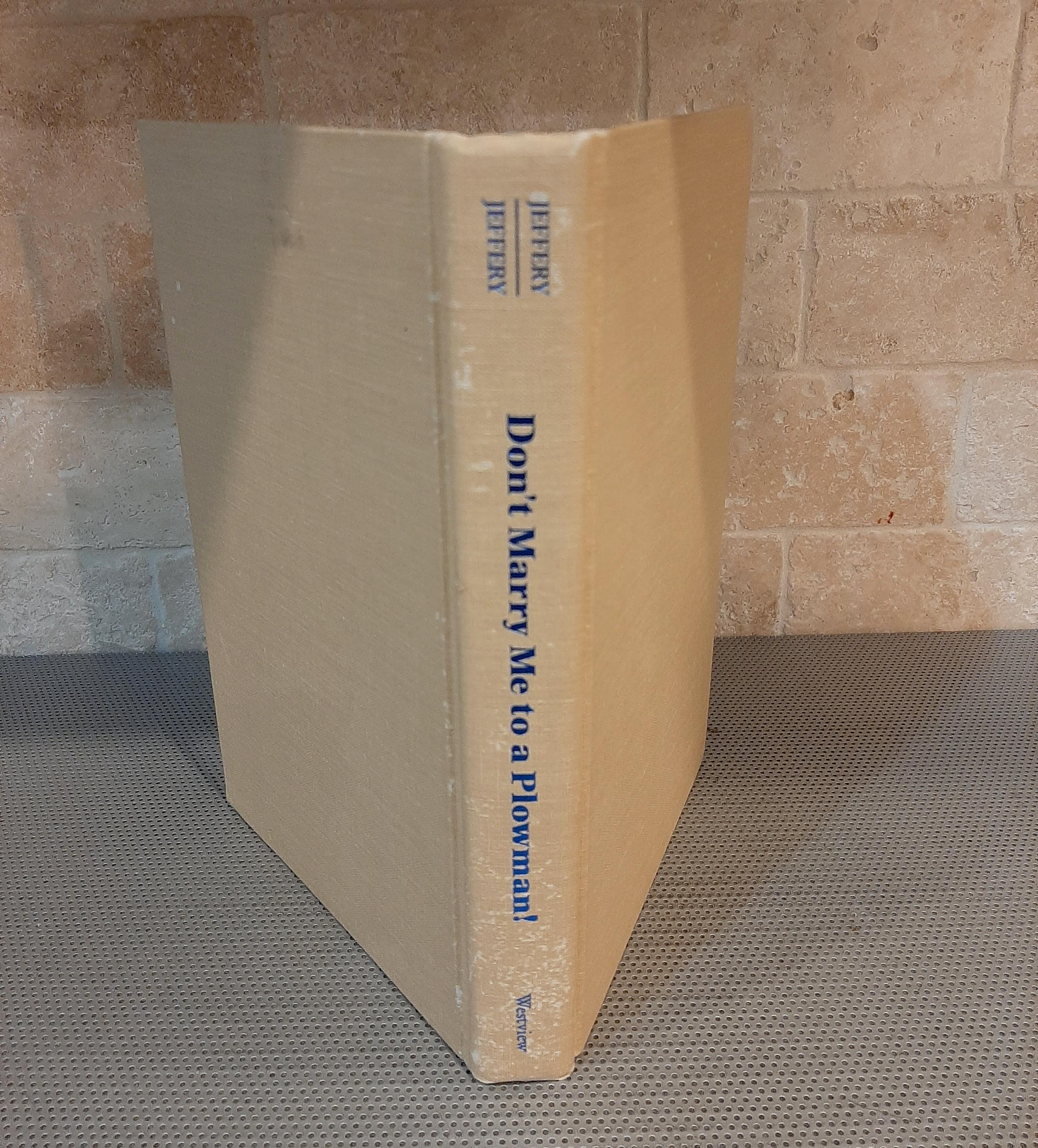Vintage 1996 Don’t Marry Me to a Plowman Women’s Everyday Lives in Rural North India Patricia Roger Jeffery RARE Hard Cover Book Gender