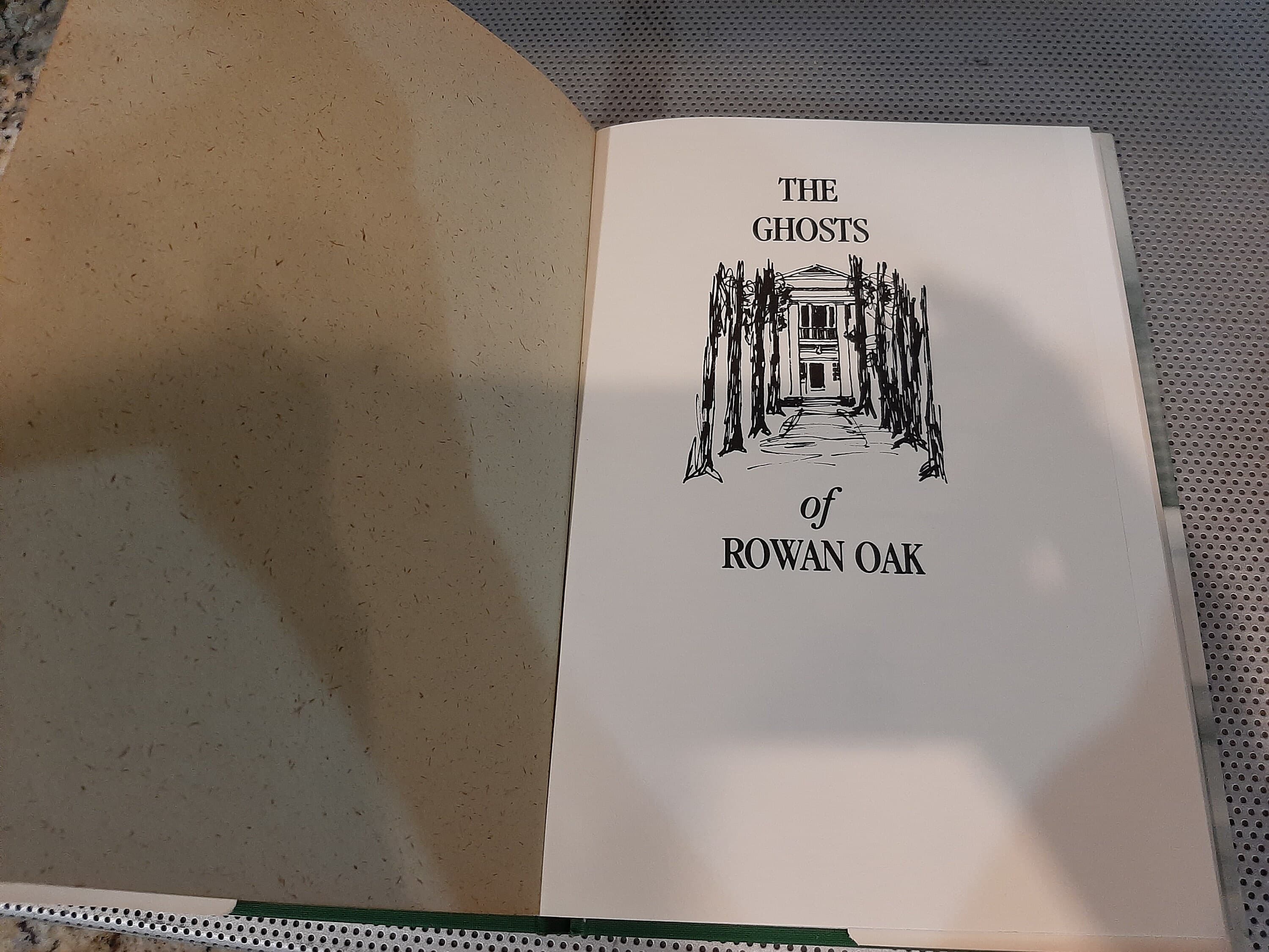 Vintage 1980 "The Ghosts of Rowan Oak" William Faulkner's Ghost Stories for Children Hardcover Book by Dean Faulkner Wells SIGNED - image 4