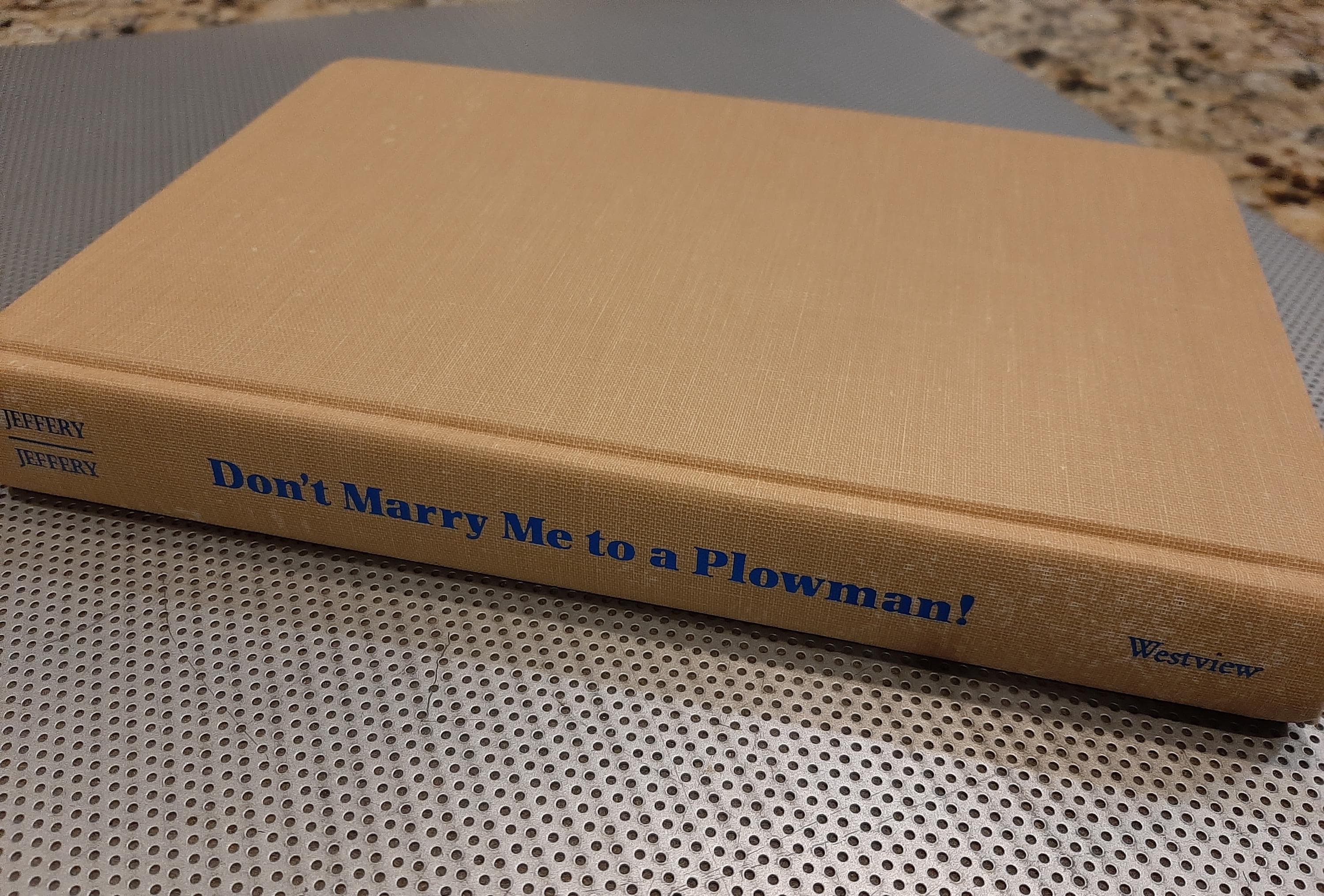 Vintage 1996 Don’t Marry Me to a Plowman Women’s Everyday Lives in Rural North India Patricia Roger Jeffery RARE Hard Cover Book Gender - image 3