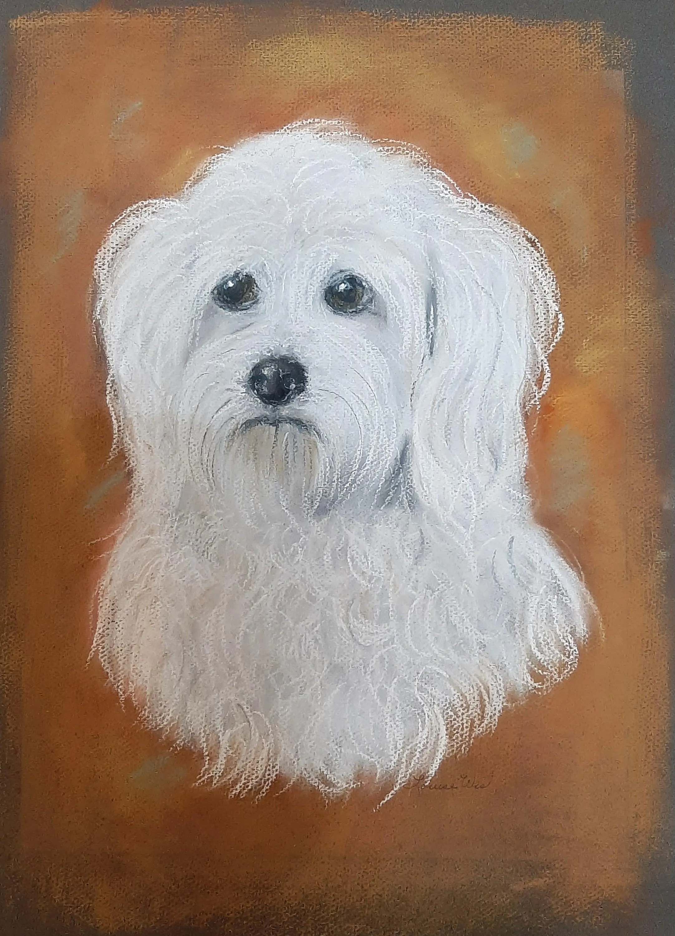 Sad White Shaggy Dog Bichon Frise Original Pastel Drawing Signed Louise West 12 x 18 Inches Unframed