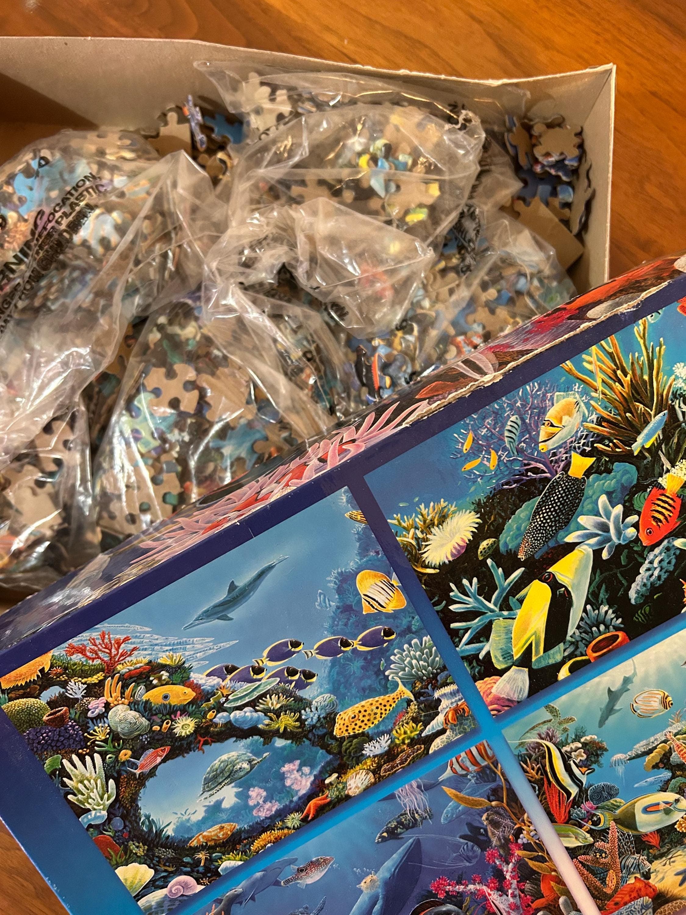 Seaside Jigsaw Puzzle - Charles Lynn Bragg - 4 Puzzles - 500 pieces each