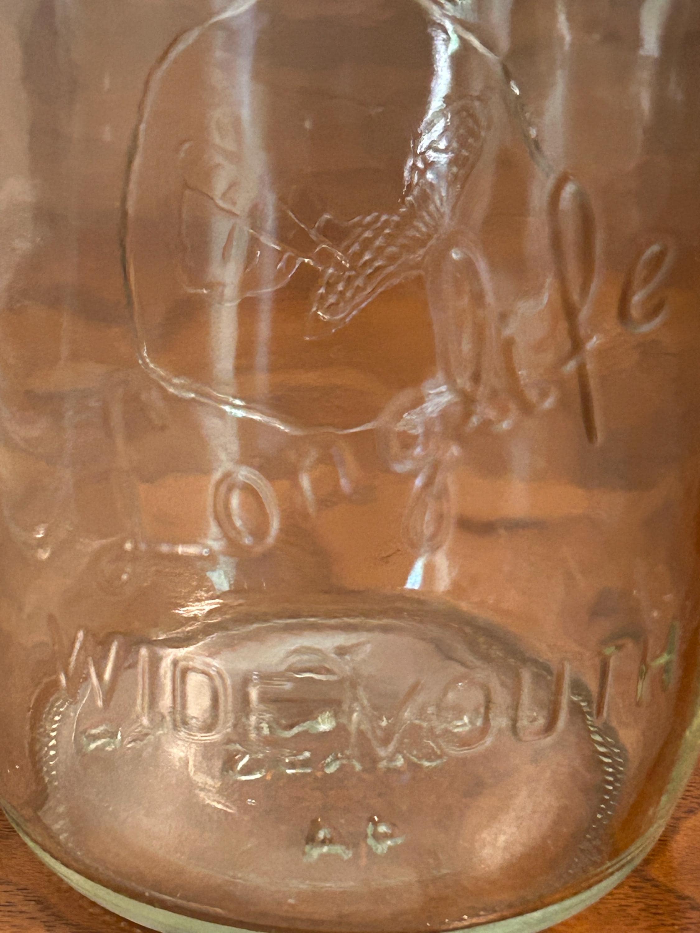 Vintage Longlife Wide Mouth Mason Jars Fruit Veggie Design 5" Tall