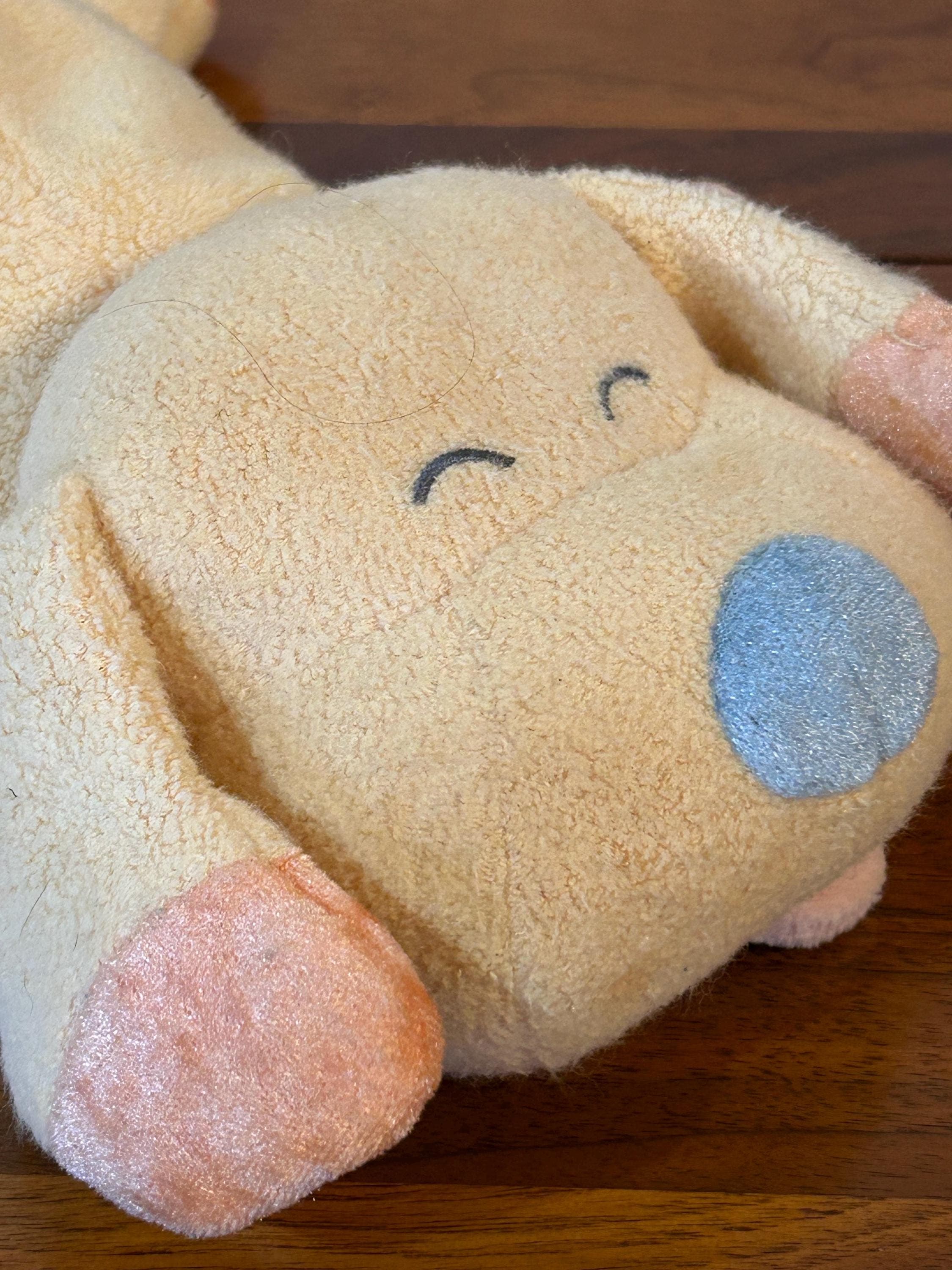 Vintage Carter’s Musical Toy 10 1/2" - Plush Dog