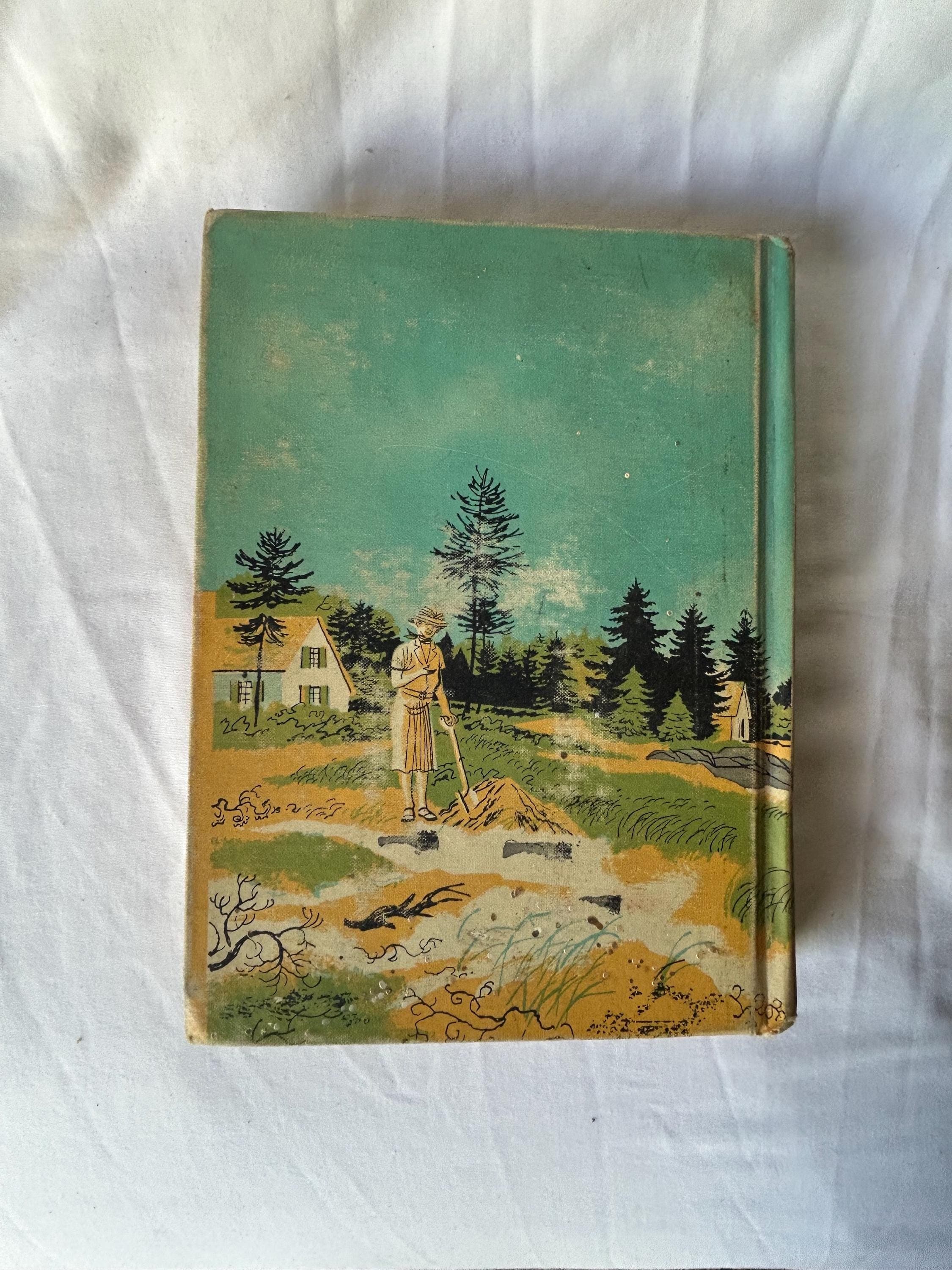 Vintage BOOK HARDCOVER - First Edition 1961 Mrs. Wappinger's Secret by Florence Hightower E.M. Hale and Company Publishers Good Condition
