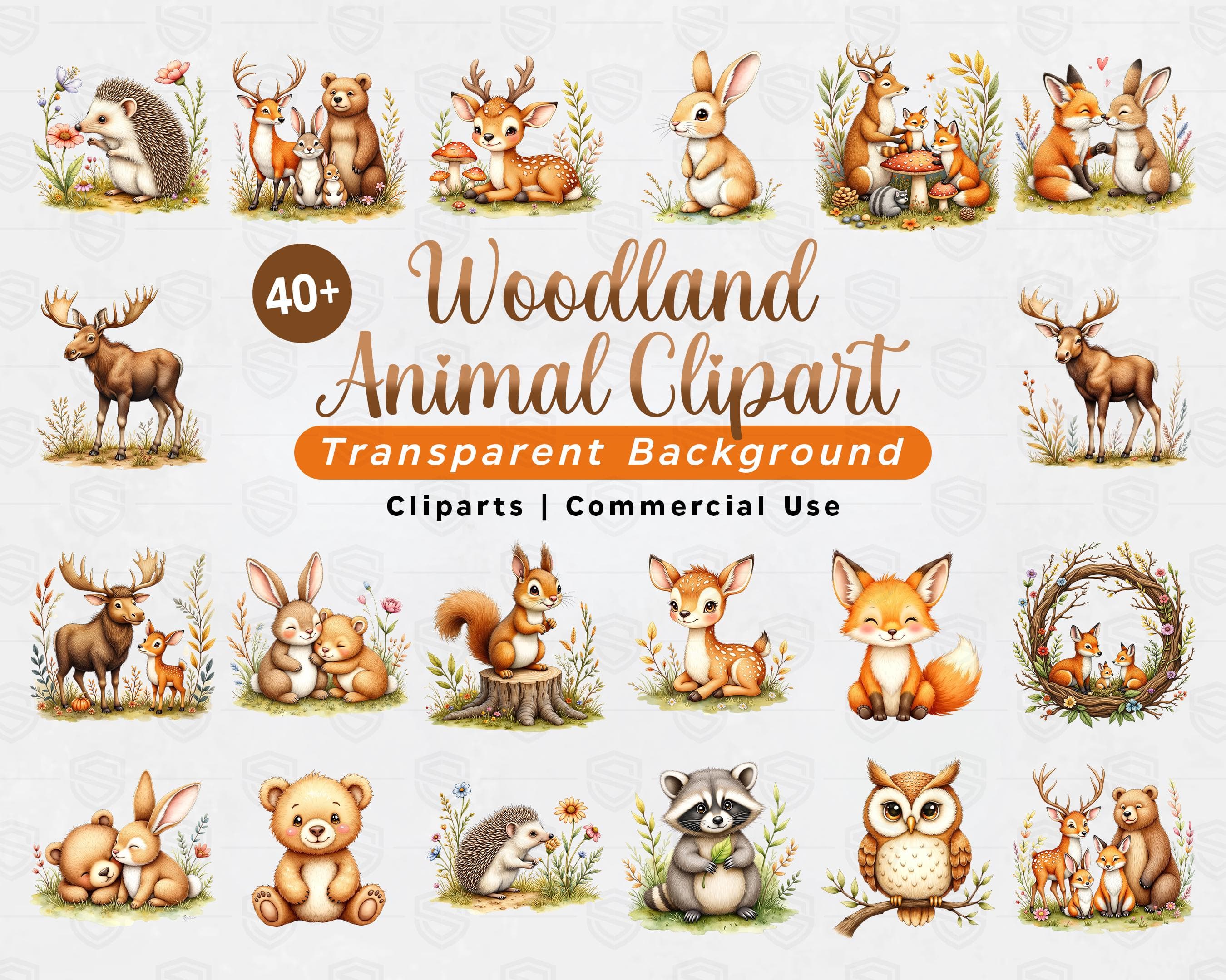 Woodland Animal PNG Bundle 40+ Pack | Cute Forest Animals Clipart | Baby Animals Watercolor | Nursery Art Sublimation | Cricut Files