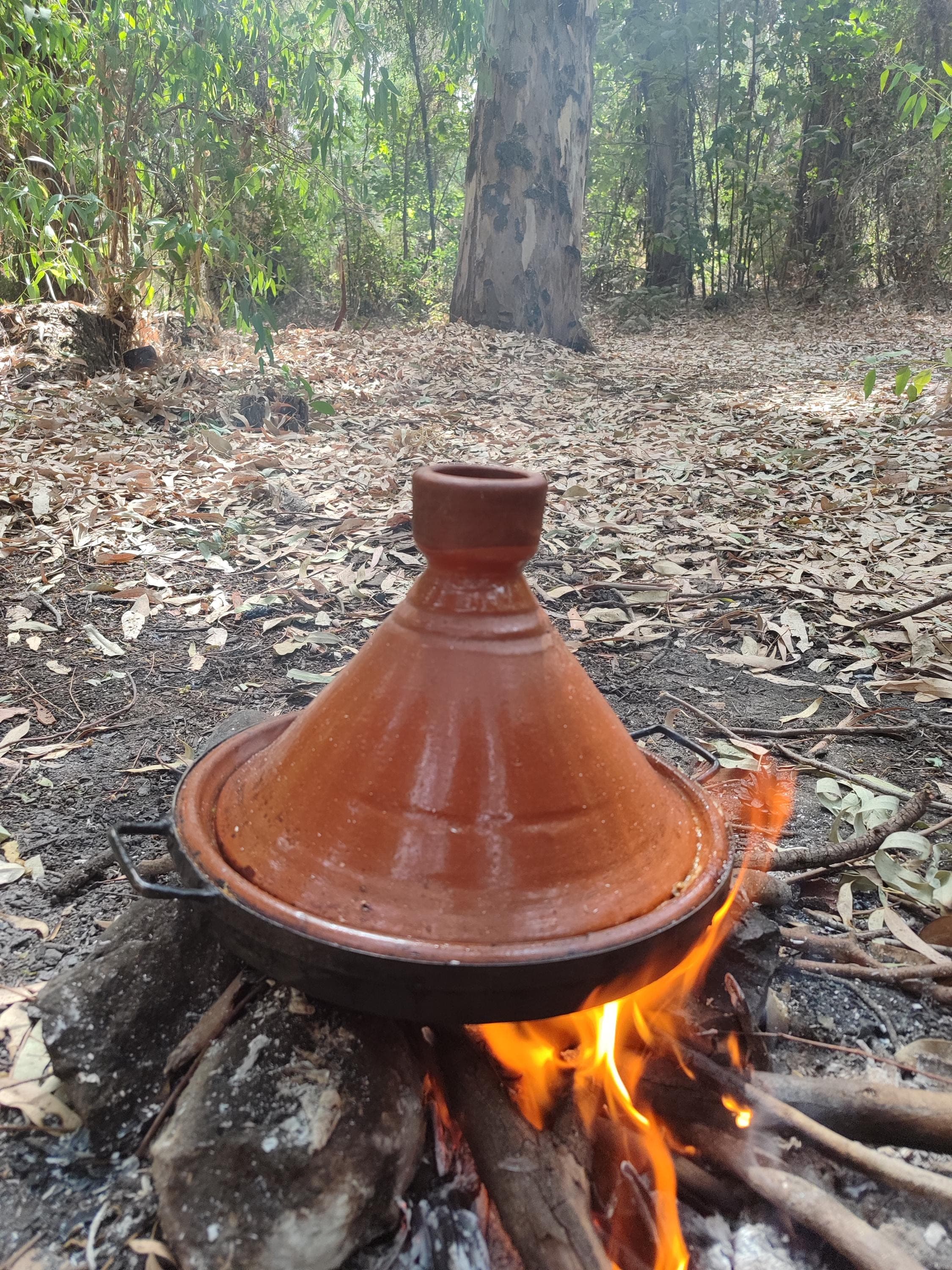 Handcrafted Moroccan Tagine Pot: Traditional Clay Cookware