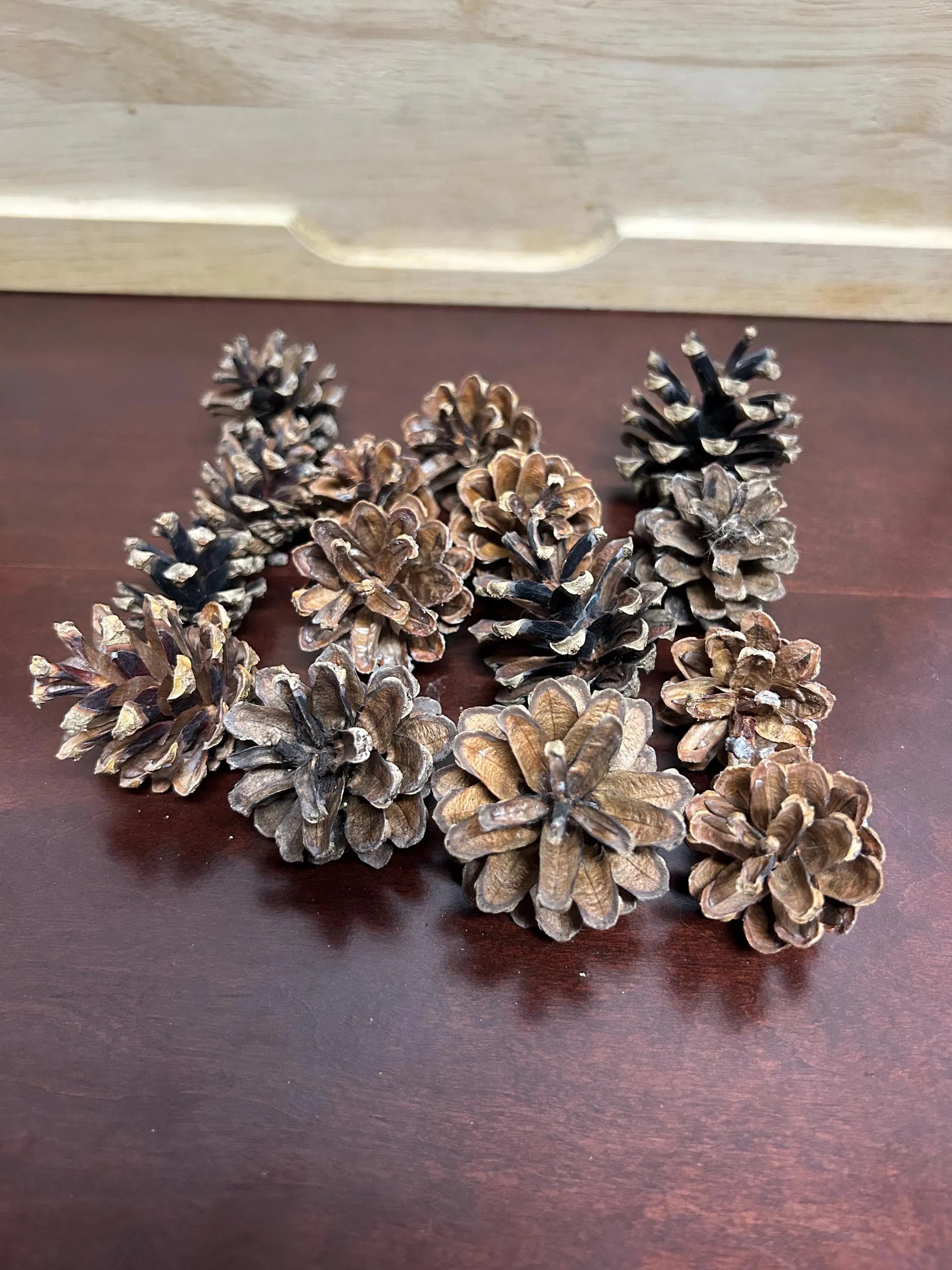 natural pinecones | Scots pine | scotch pine | craft projects | wreath | crafting | decoration | rustic ornaments | florist | untreated pine - image 4