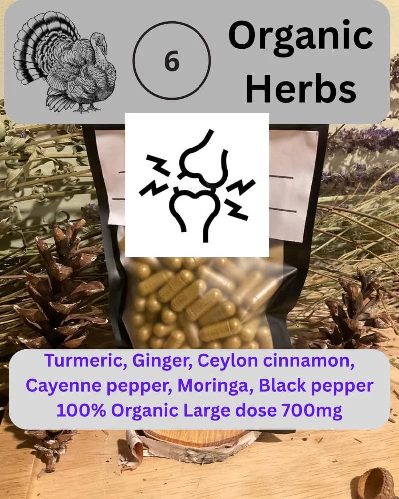 Organic formula Turmeric Ginger Ceylon Cinnamon Cayenne pepper Moringa Black pepper capsule | 700 mg Herbal supplement | vegan |