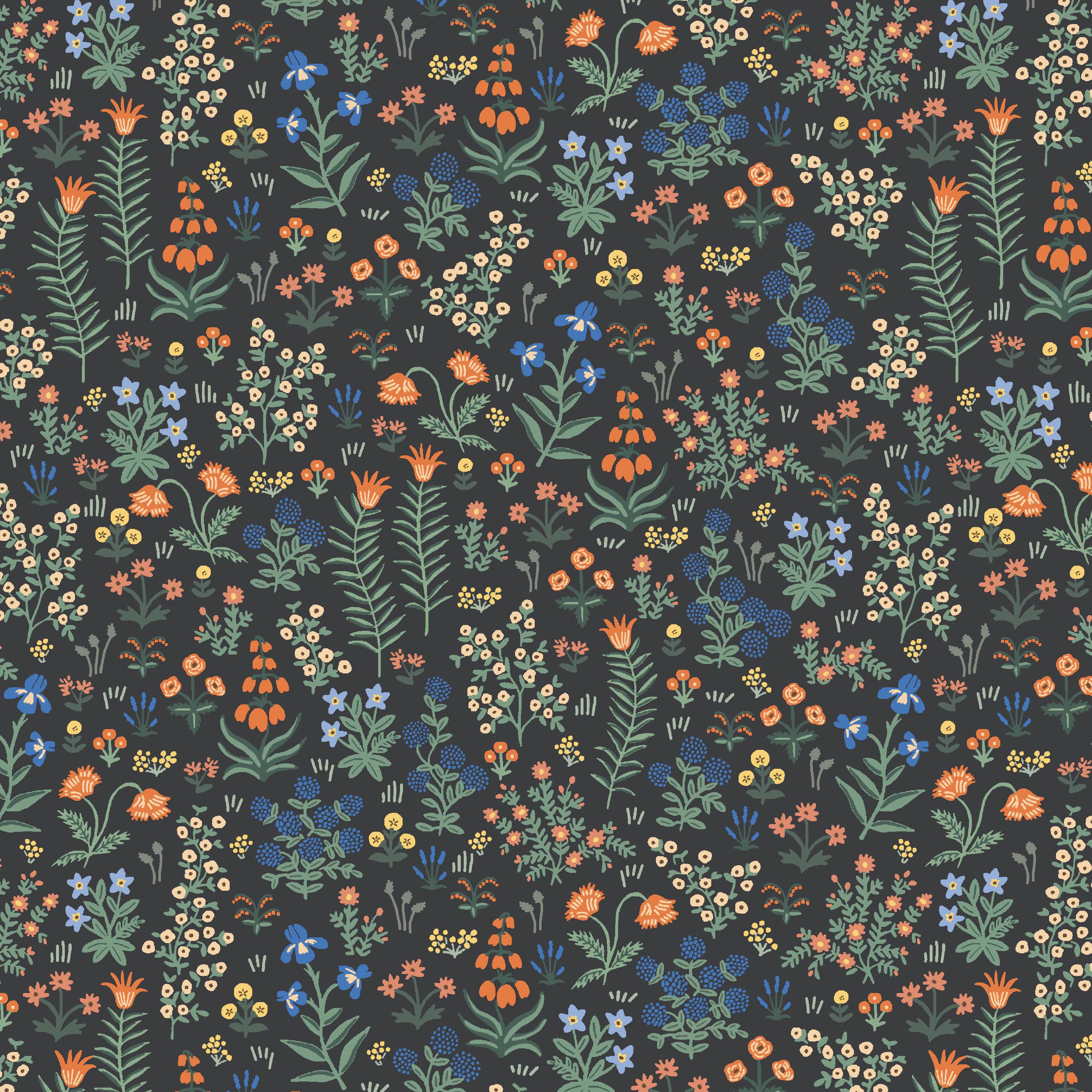 Rifle Paper Co. - Camont Collection - Menagerie Garden in Black