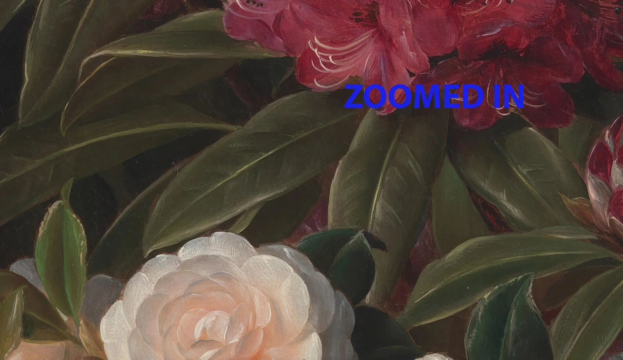 Camellias Rhododendrons Antique Oil Painting: Floral Still Life (Digital Download) - image 2