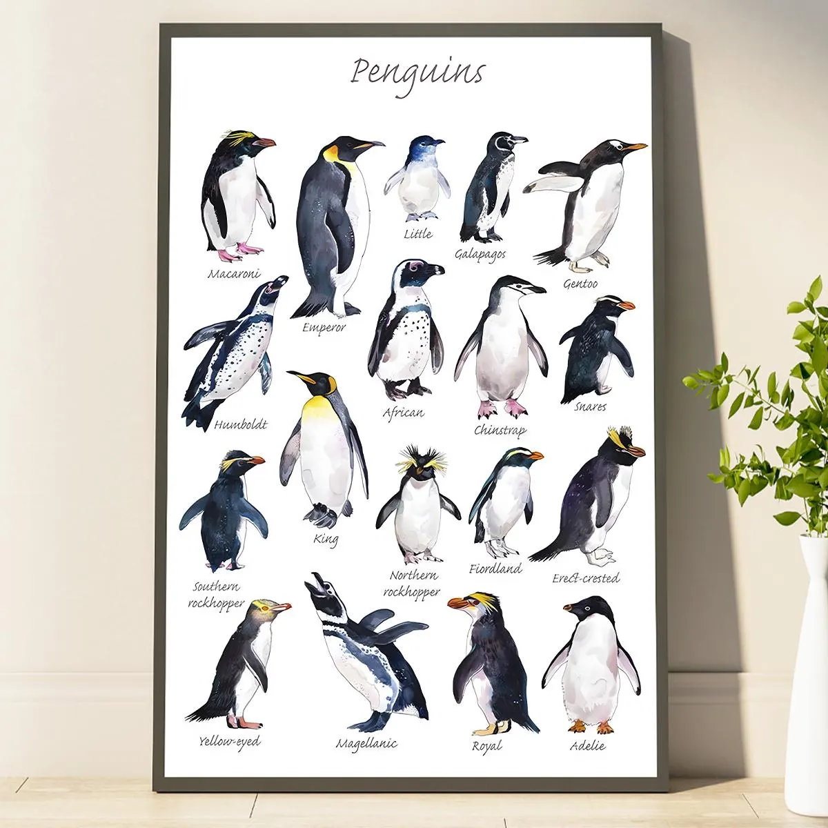 Artistic Penguin Print Poster Beautifully Illustrated Penguin Species Perfect Wall Art Gifts For Animal Lovers
