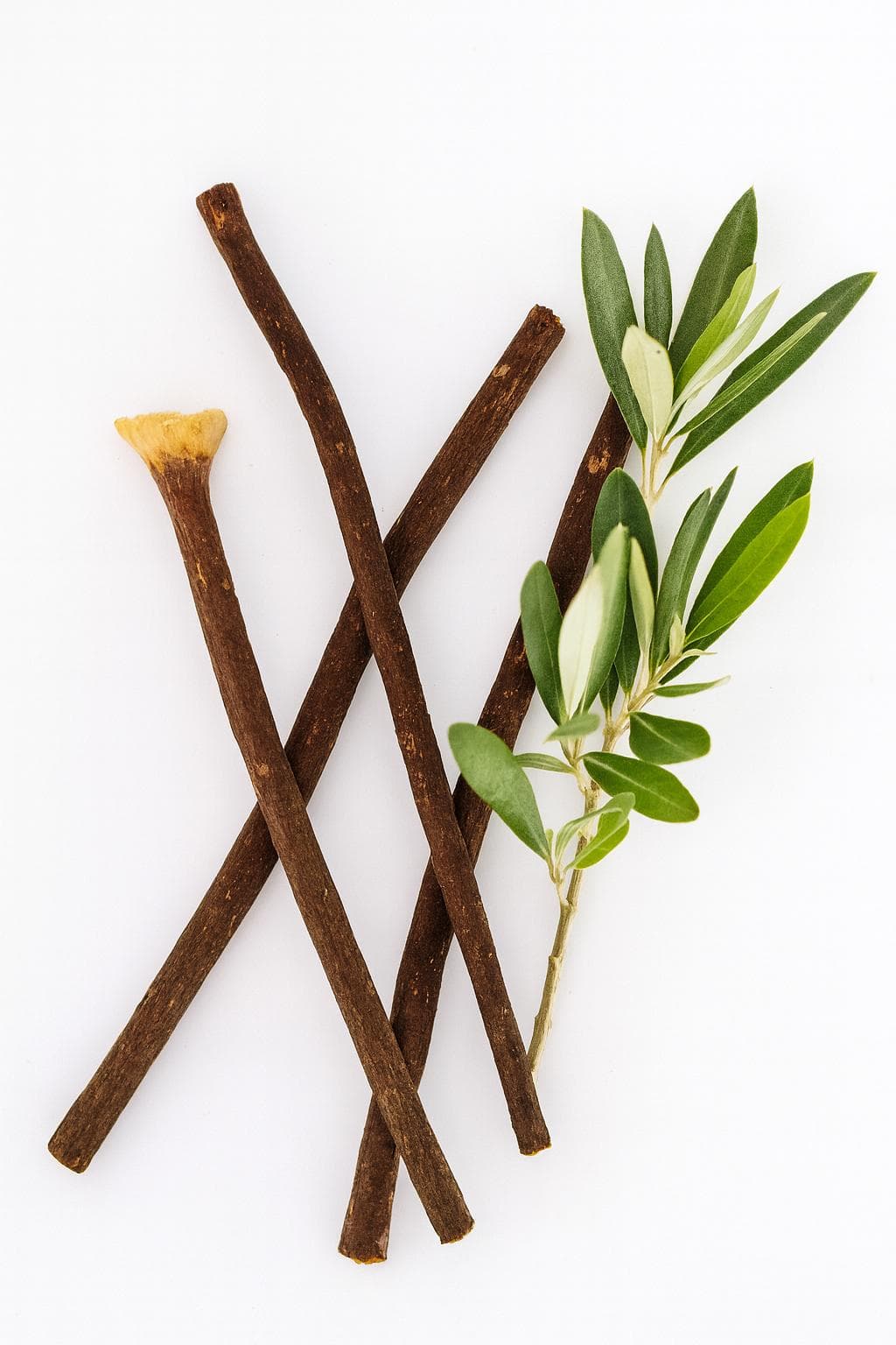 Sunnah Goods Zaytoon Miswak Box – 2 Olive Tree Miswaks + Holder - image 5