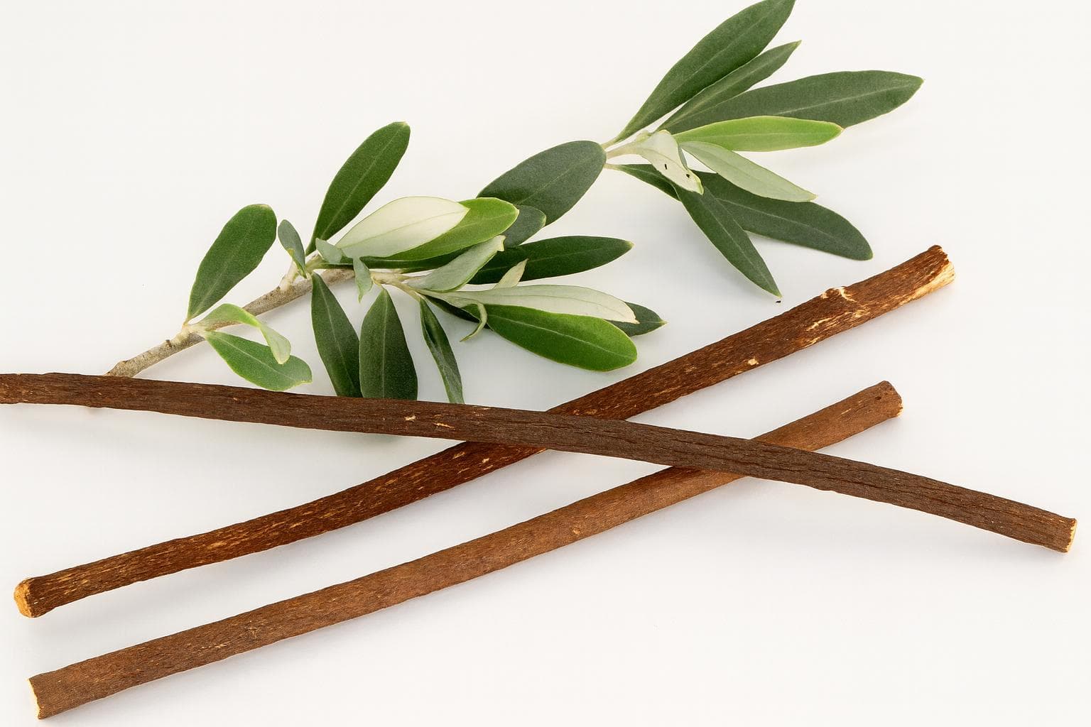 Sunnah Goods Zaytoon Miswak Box – 2 Olive Tree Miswaks + Holder - image 4