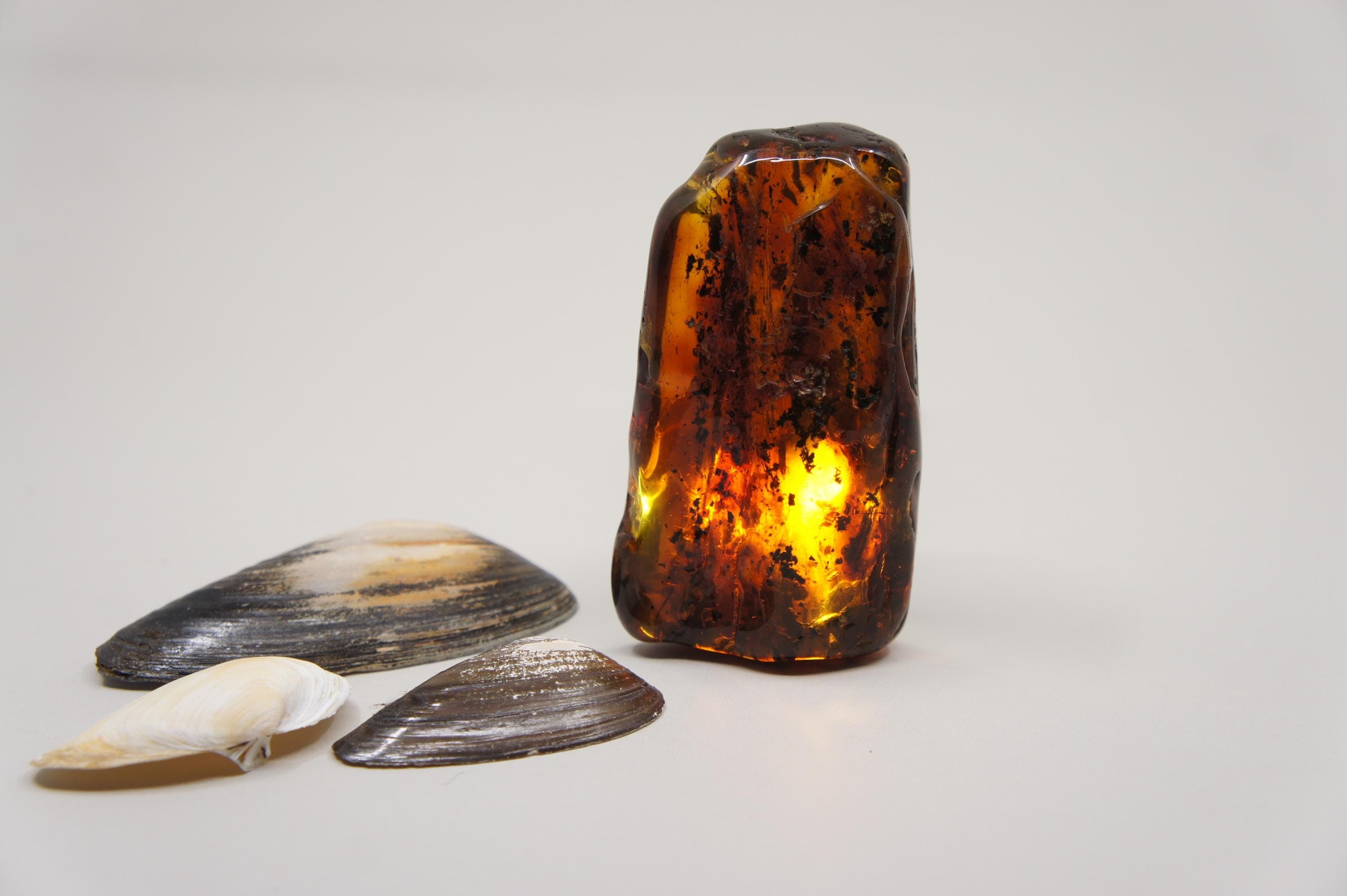 Natural Baltic Amber Stone: Rectangle, Gem, Inclusion, Unique Stone  85 g (2.99 oz) #1905