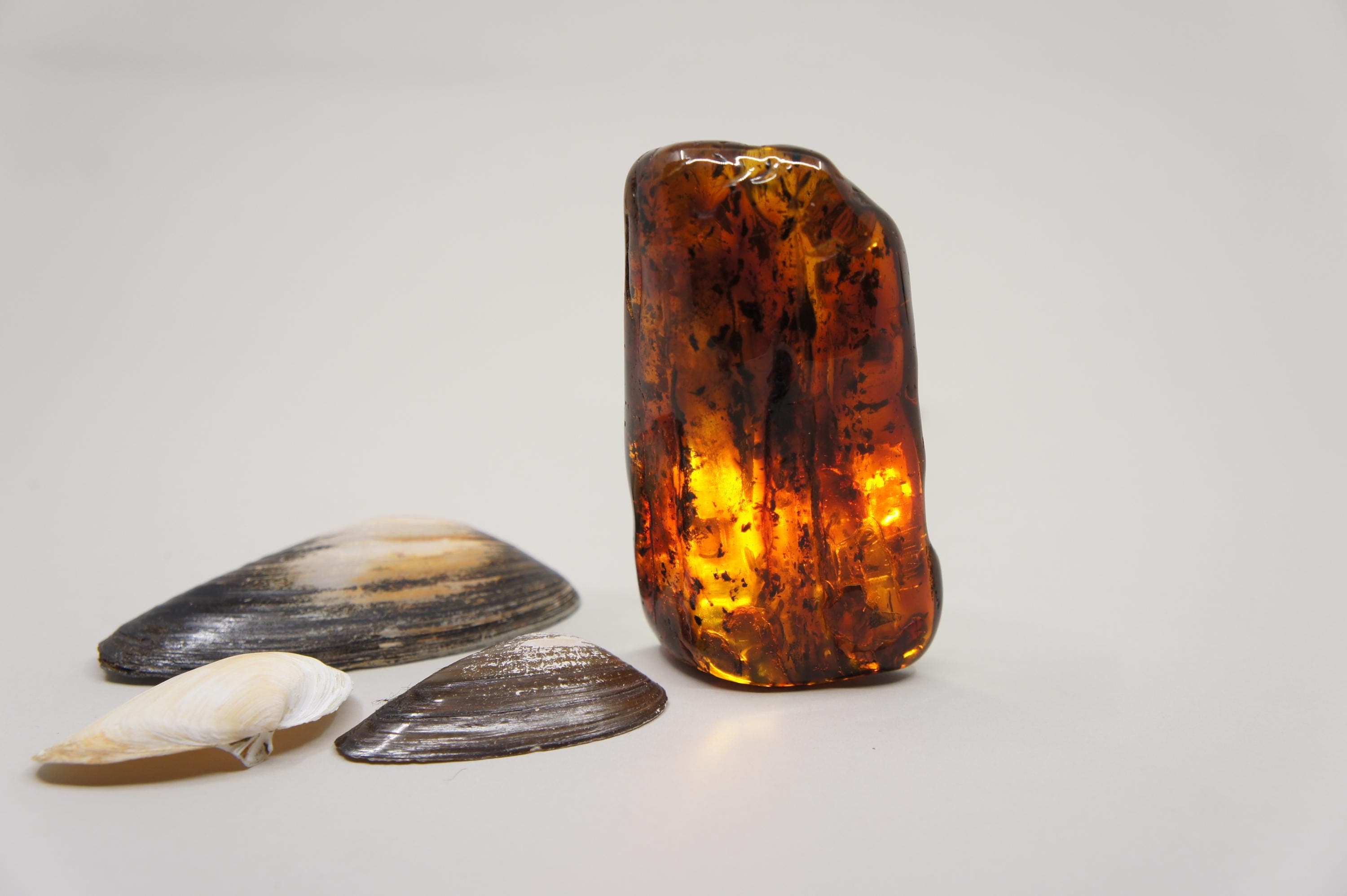 Natural Baltic Amber Stone: Rectangle, Gem, Inclusion, Unique Stone  85 g (2.99 oz) #1905 - image 3