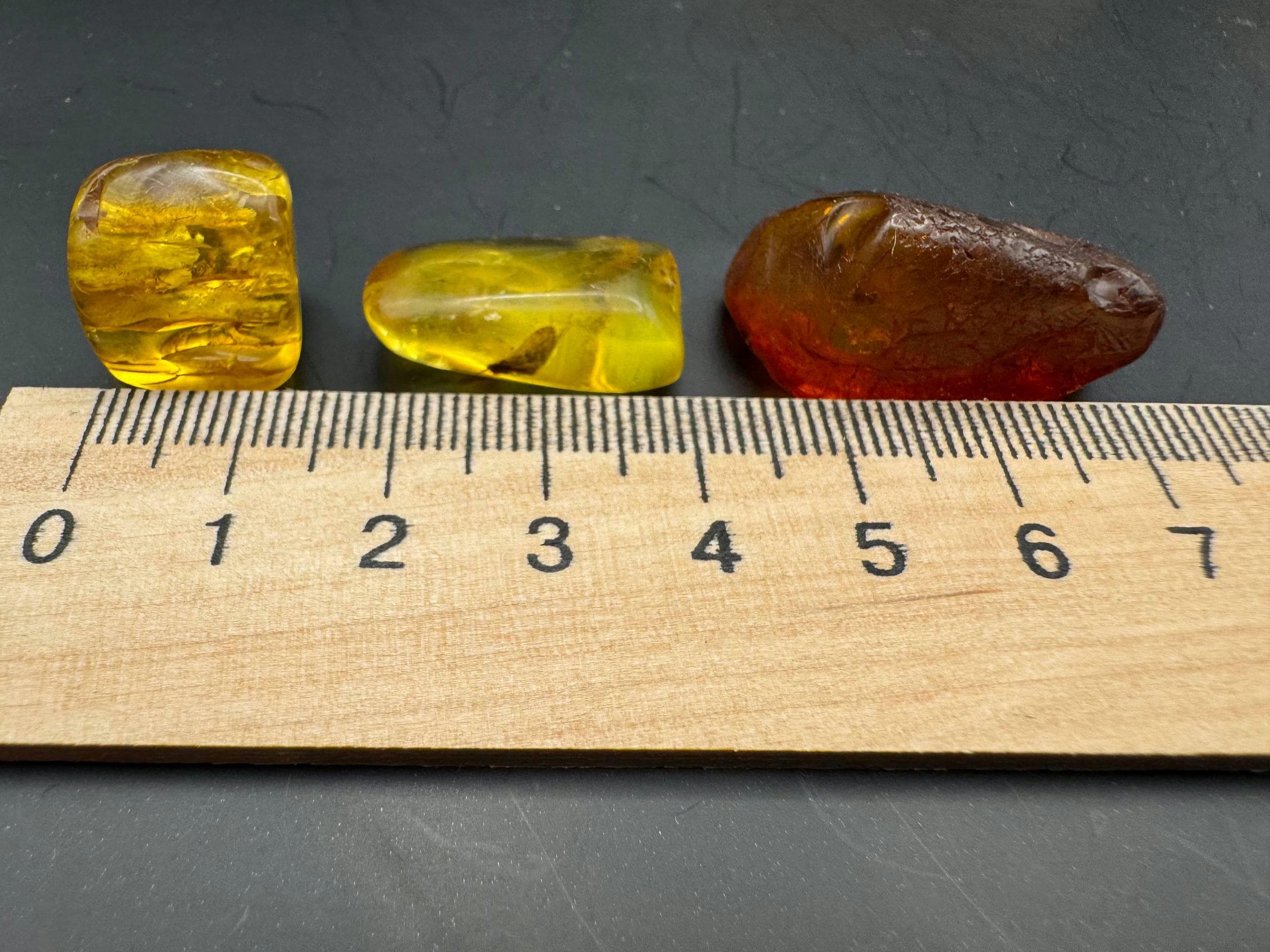 Baltic Amber Stones with Inclusions | Raw Fossil Amber Set of 3