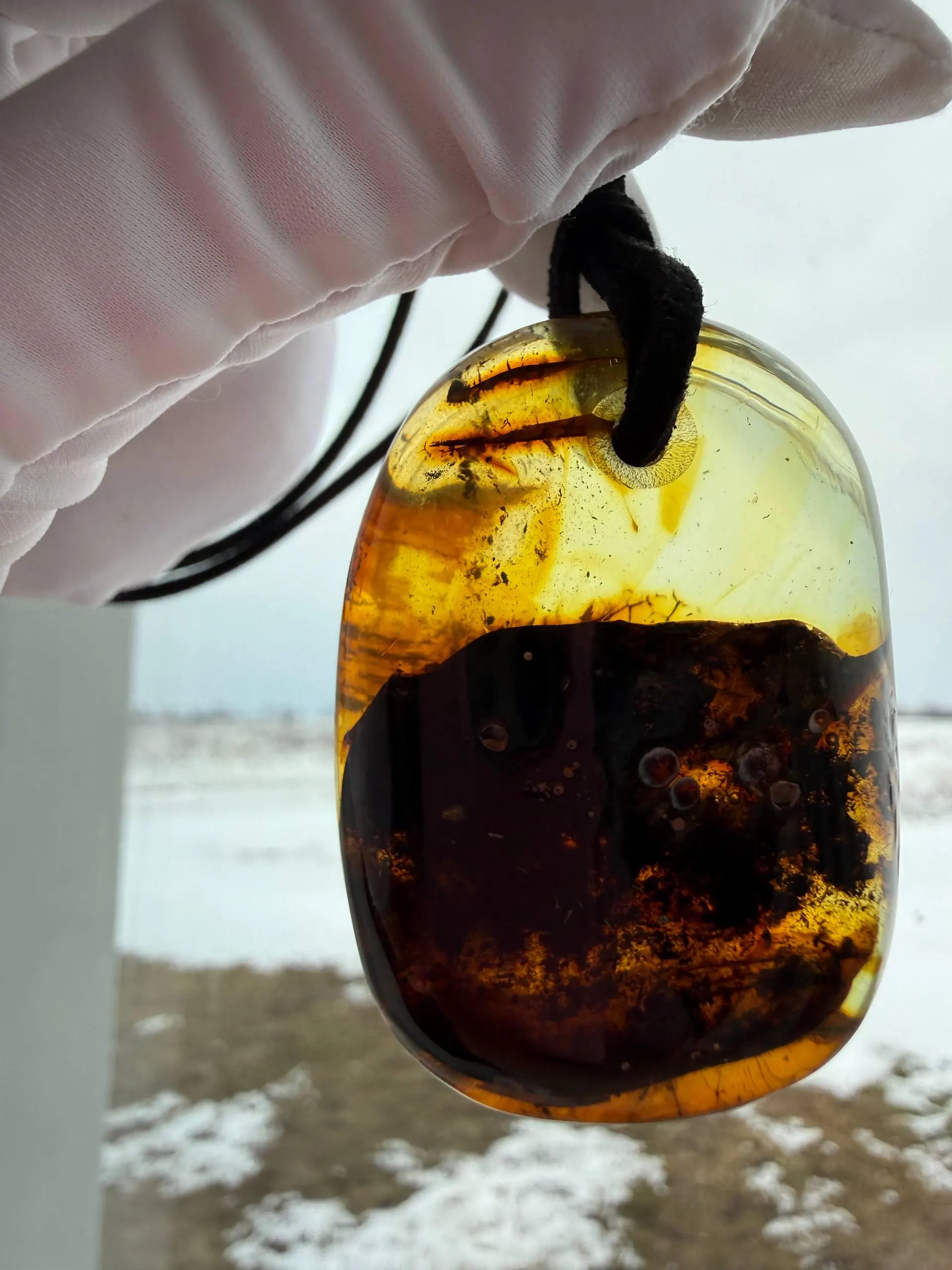 Large Baltic Amber Pendant with Insect Inclusion – Natural Fossil Gemstone Jewelry - image 5