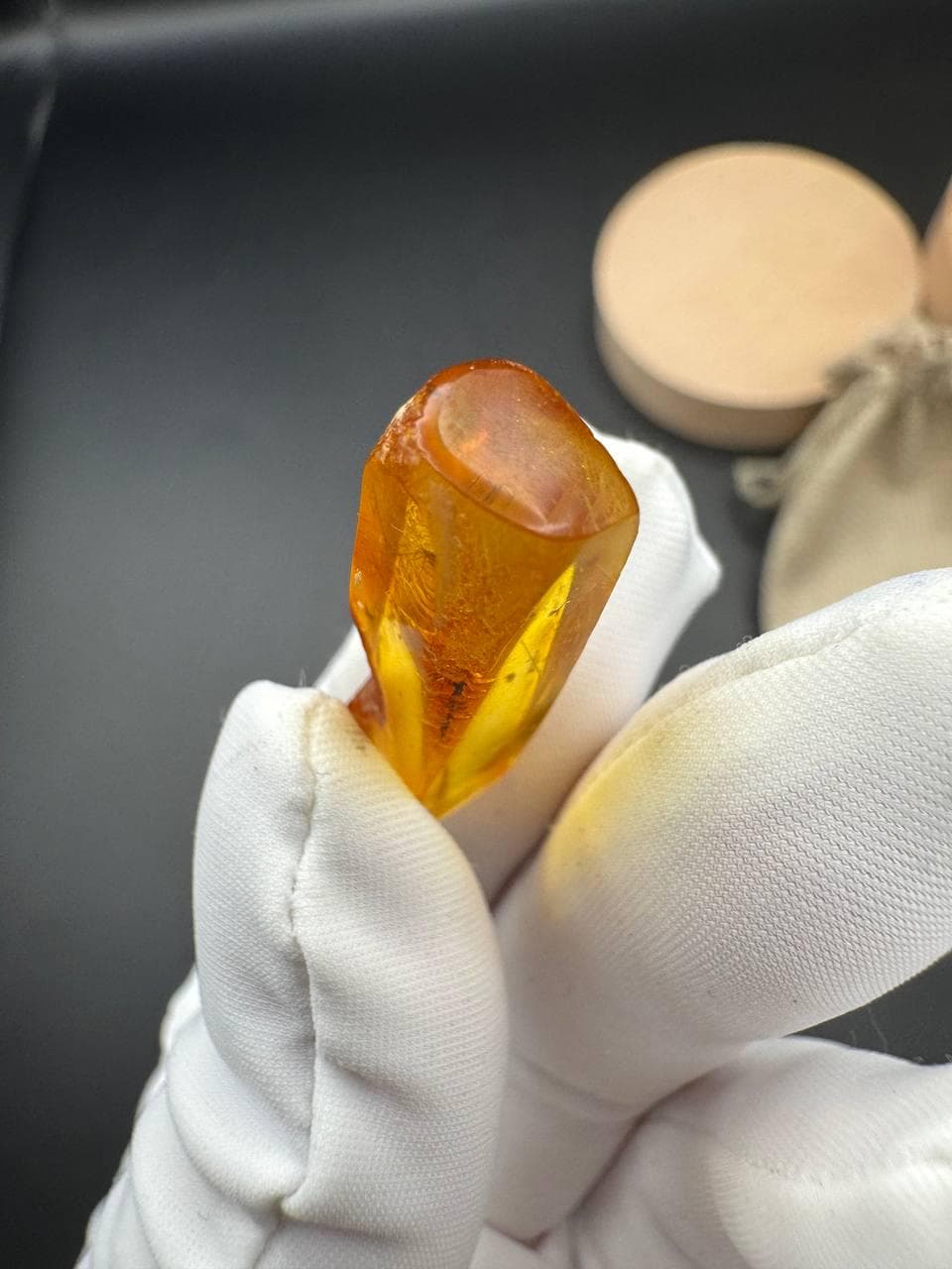 Baltic Amber with Gnat Inclusion: Rare Insect Fossil, Golden Yellow - image 4