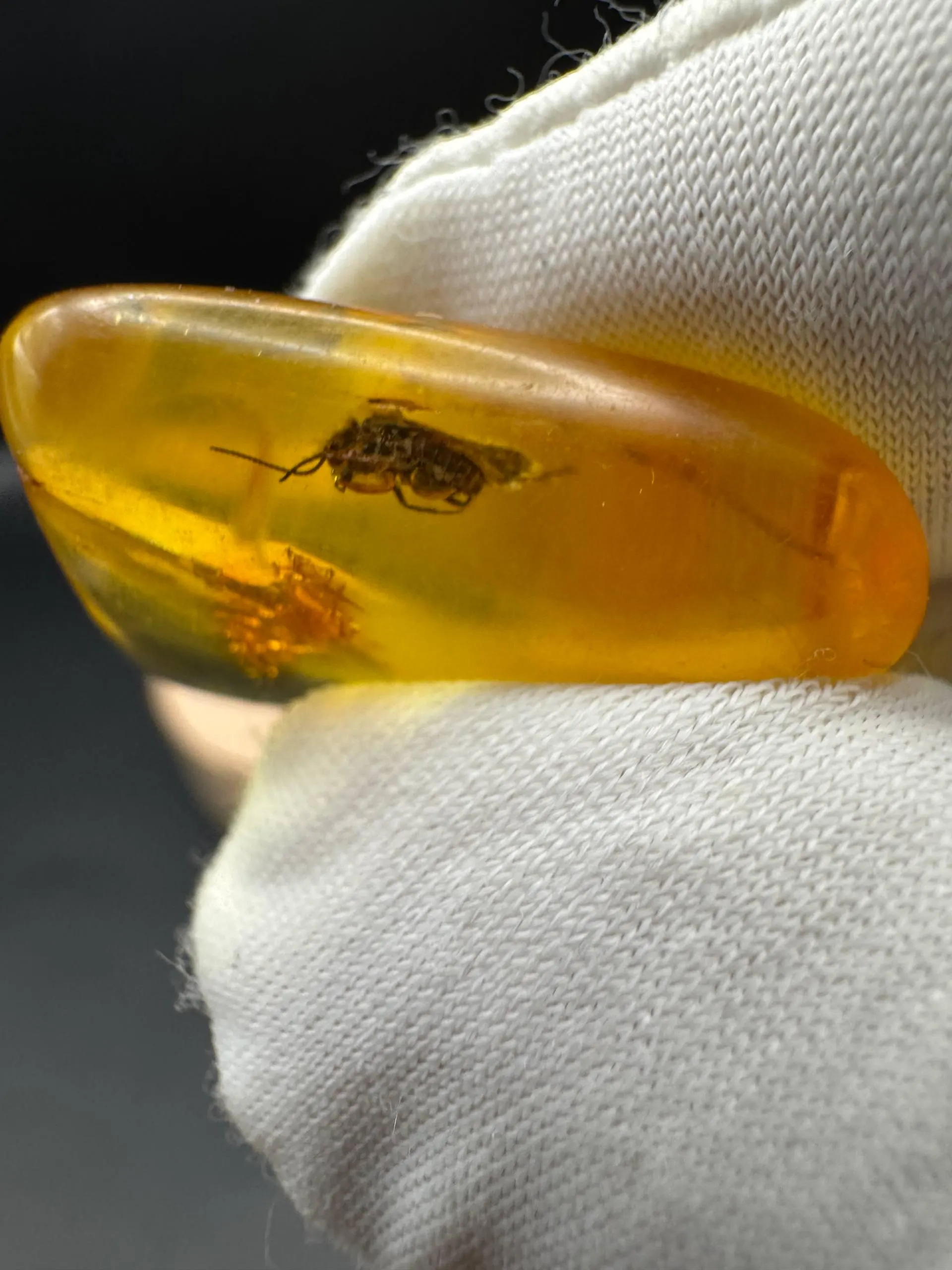 Baltic Amber Stones with Inclusions | Raw Fossil Amber Set of 3 - image 4