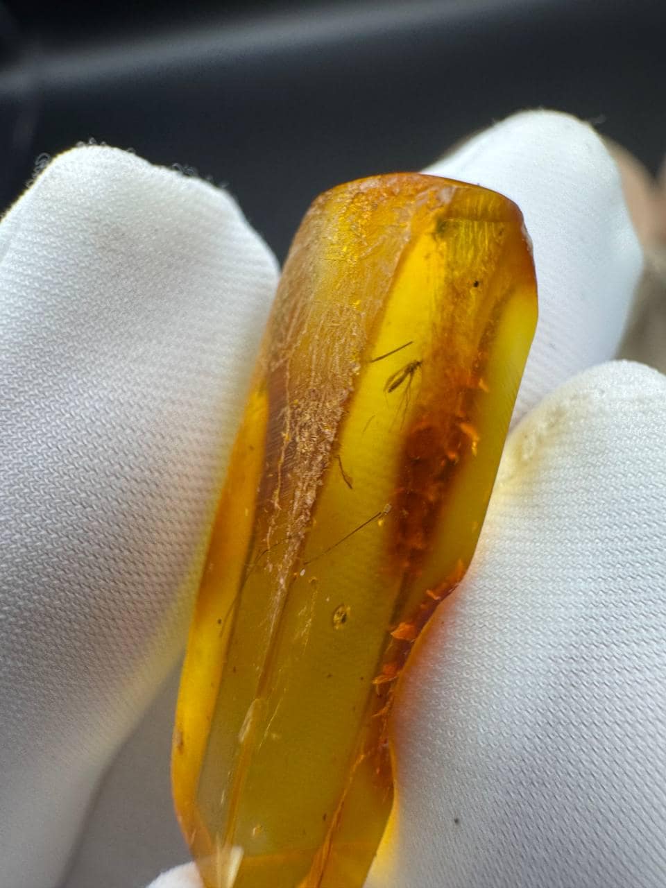 Baltic Amber with Gnat Inclusion: Rare Insect Fossil, Golden Yellow - image 3