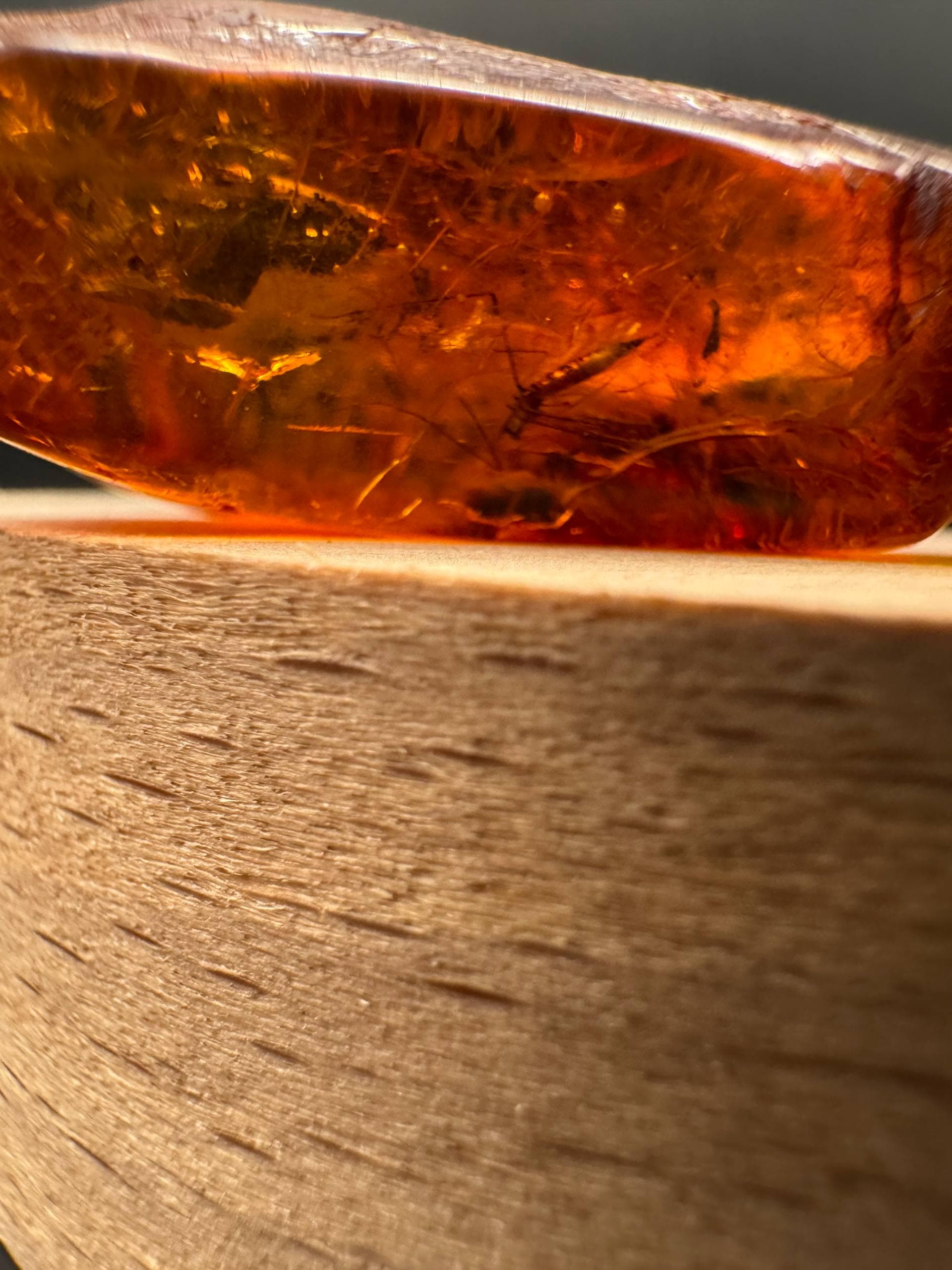Baltic Amber Stones with Inclusions | Raw Fossil Amber Set of 3 - image 5