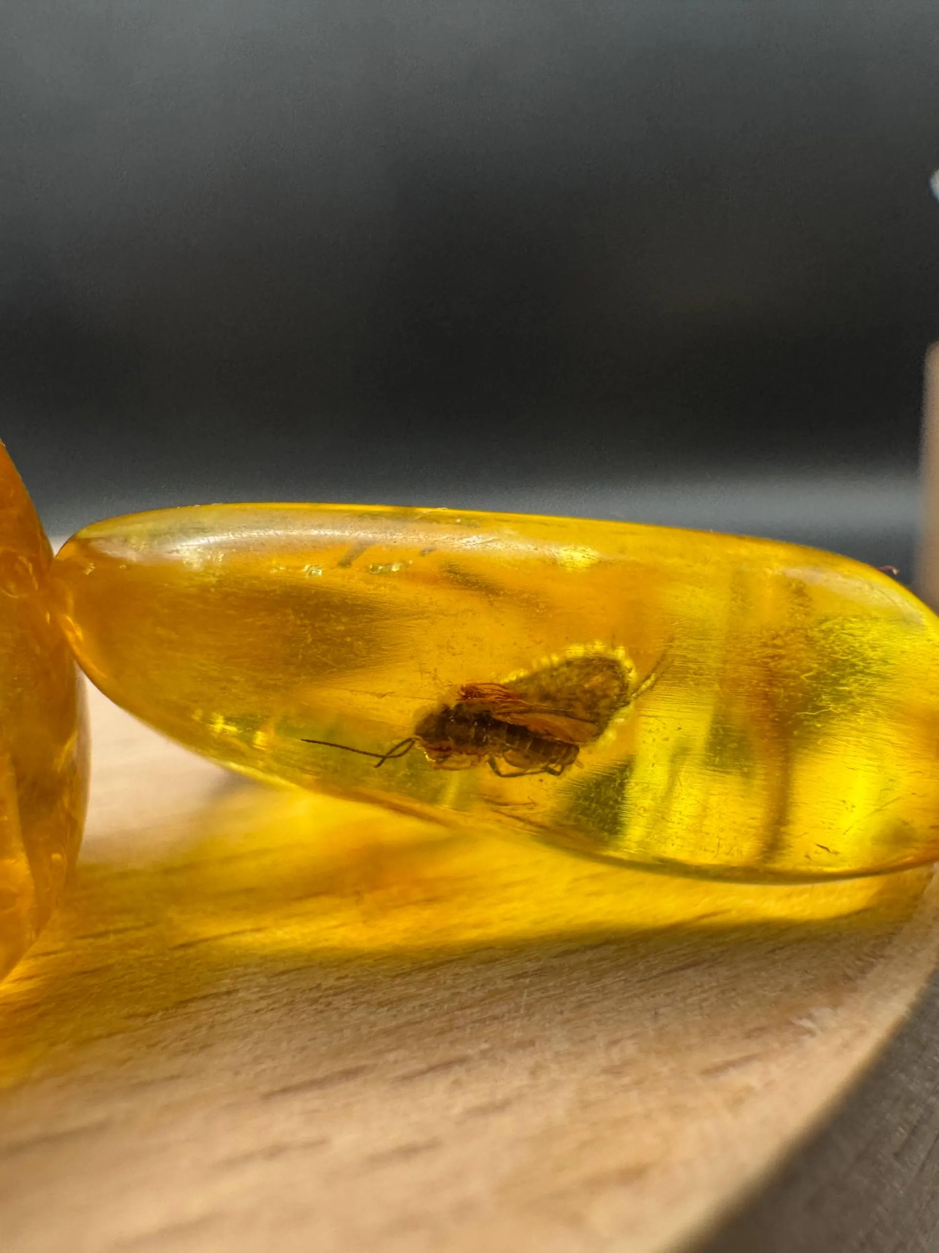 Baltic Amber Stones with Inclusions | Raw Fossil Amber Set of 3 - image 3