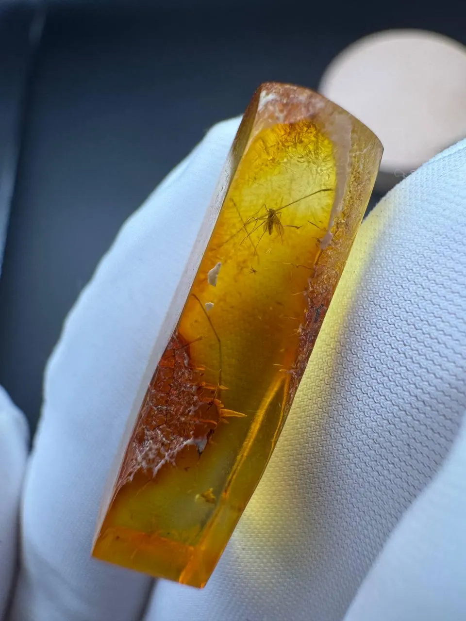Baltic Amber with Gnat Inclusion: Rare Insect Fossil, Golden Yellow - image 5