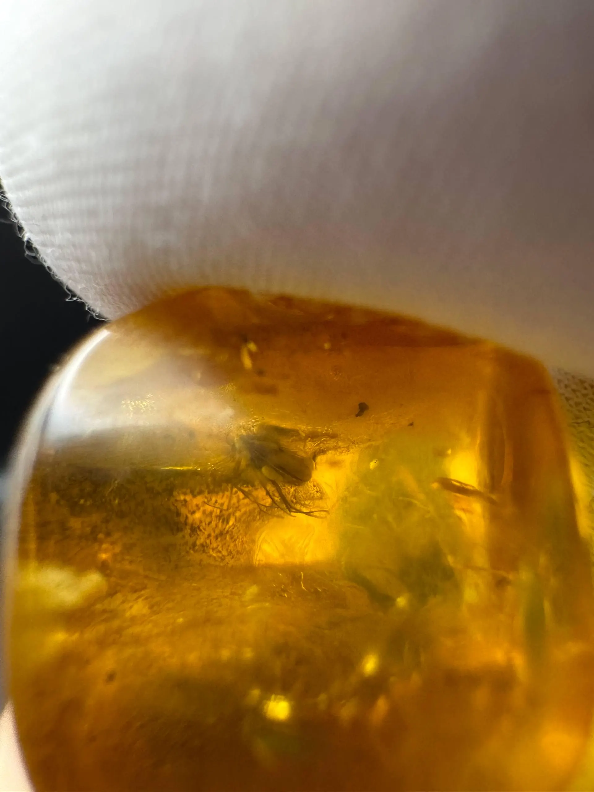 Baltic Amber Stones with Inclusions | Raw Fossil Amber Set of 3 - image 2