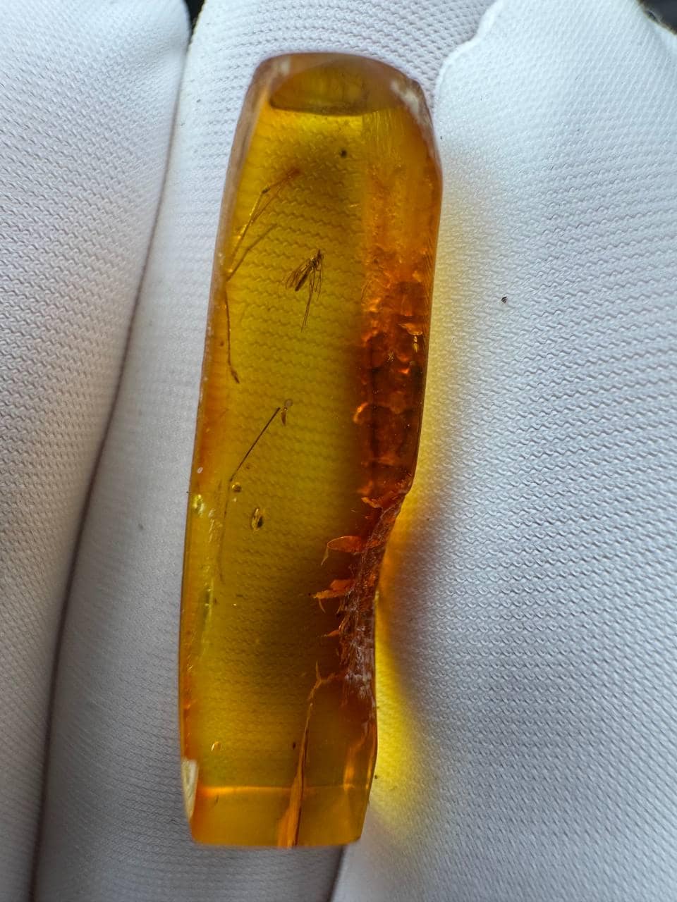 Baltic Amber with Gnat Inclusion: Rare Insect Fossil, Golden Yellow - image 2