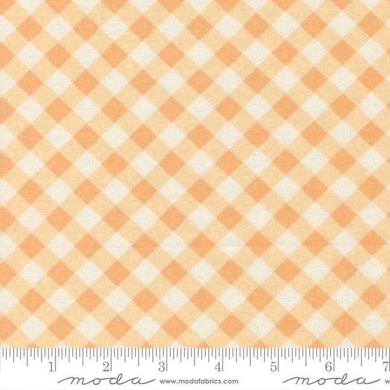 Gingham Apricot from Pastel Prairie Collection by My Sew Quilty Life for Moda Fabrics - image 3