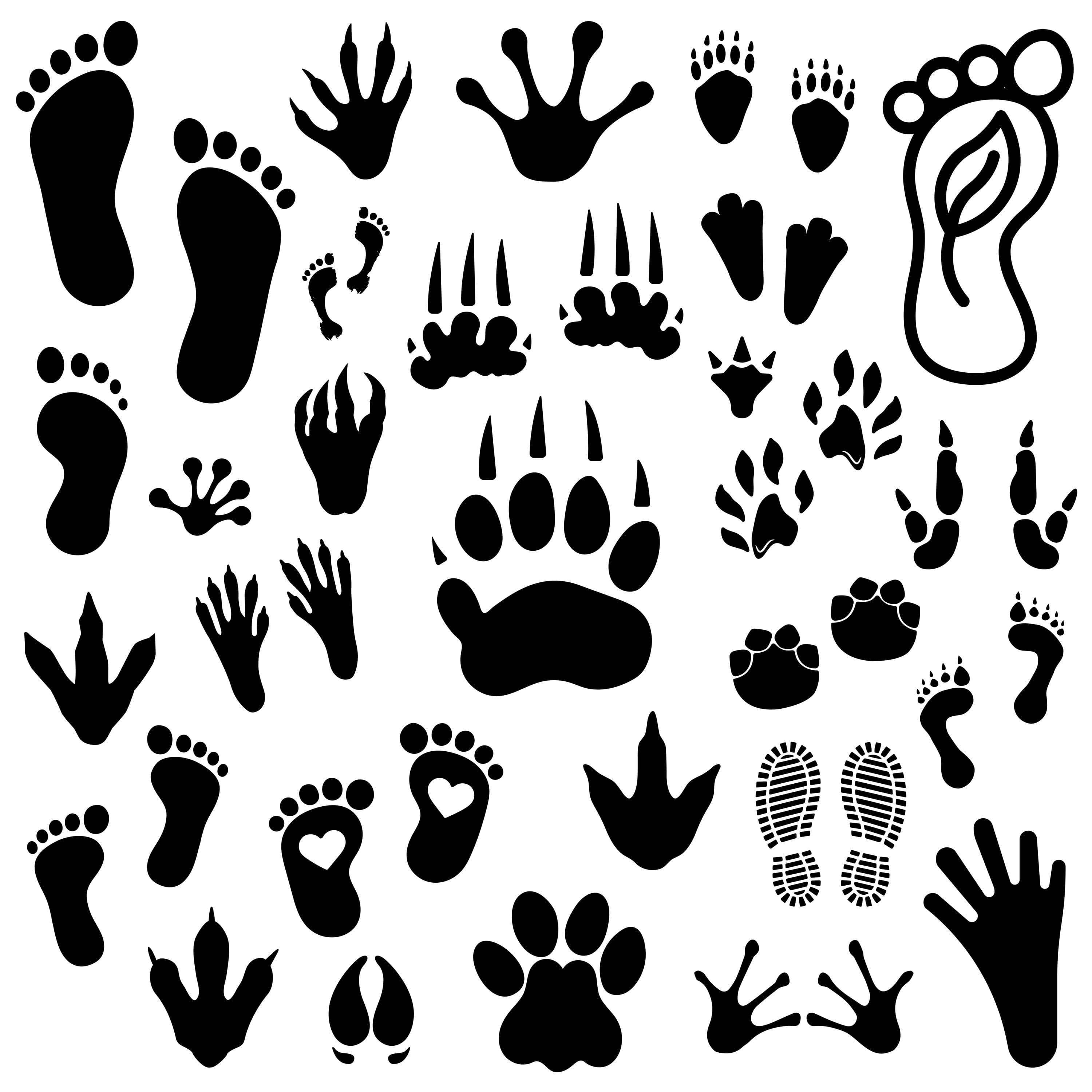 Footprints SVG Bundle | Paw Prints, Baby Feet, Human Footprints | Wildlife Tracks | Vector Files - image 4