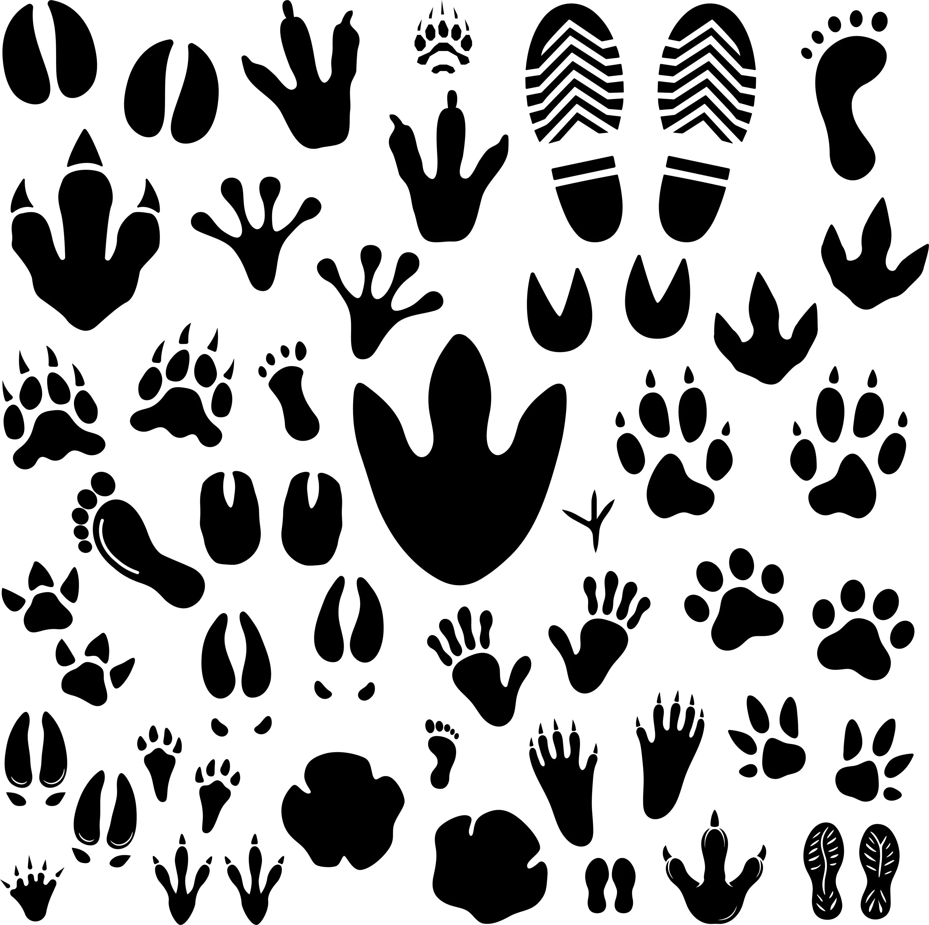 Footprints SVG Bundle | Paw Prints, Baby Feet, Human Footprints | Wildlife Tracks | Vector Files - image 3