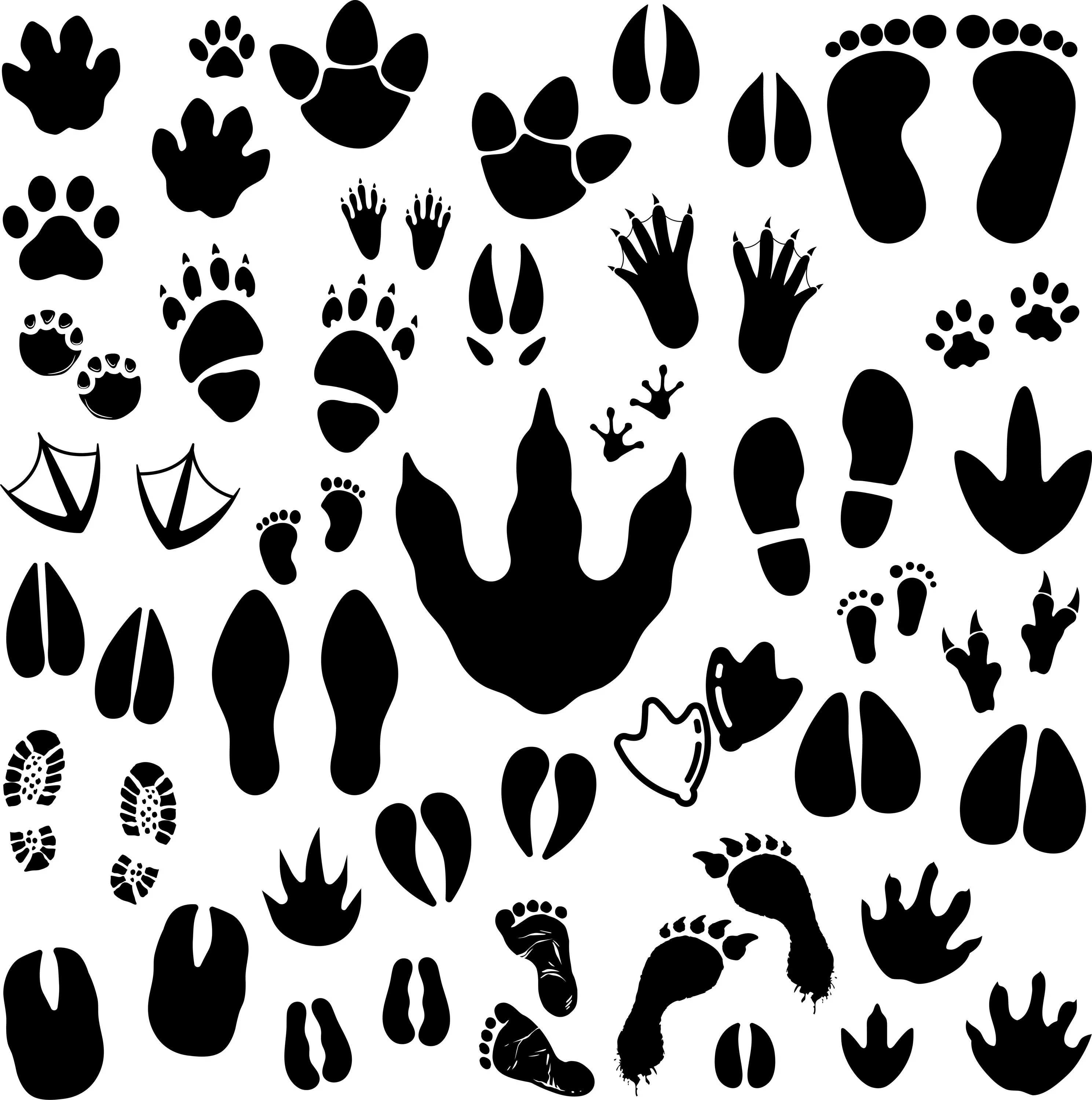 Footprints SVG Bundle | Paw Prints, Baby Feet, Human Footprints | Wildlife Tracks | Vector Files - image 2
