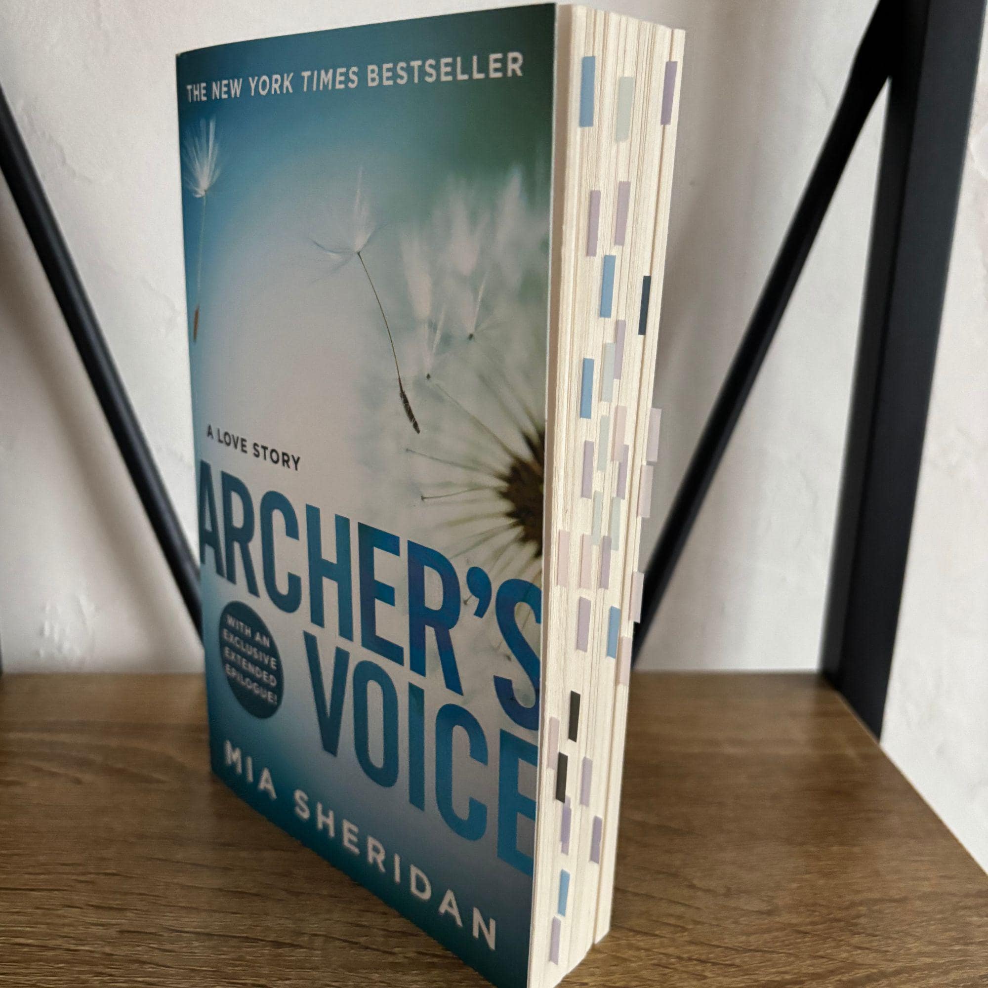 Archer's Voice Annotated Book | Bree Pelion Archer Hale Mia Sheridan | Booktok Merch | Small Town Romance Smut