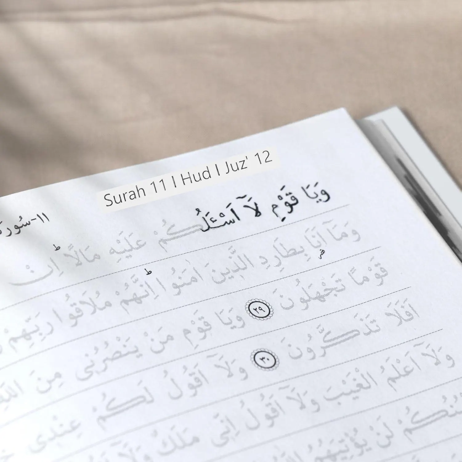Tracing Writable Quran: Shadowed Quran, Full Quran Workbook, Islamic Muslim Gift, Write, Read and Learn Koran - image 2