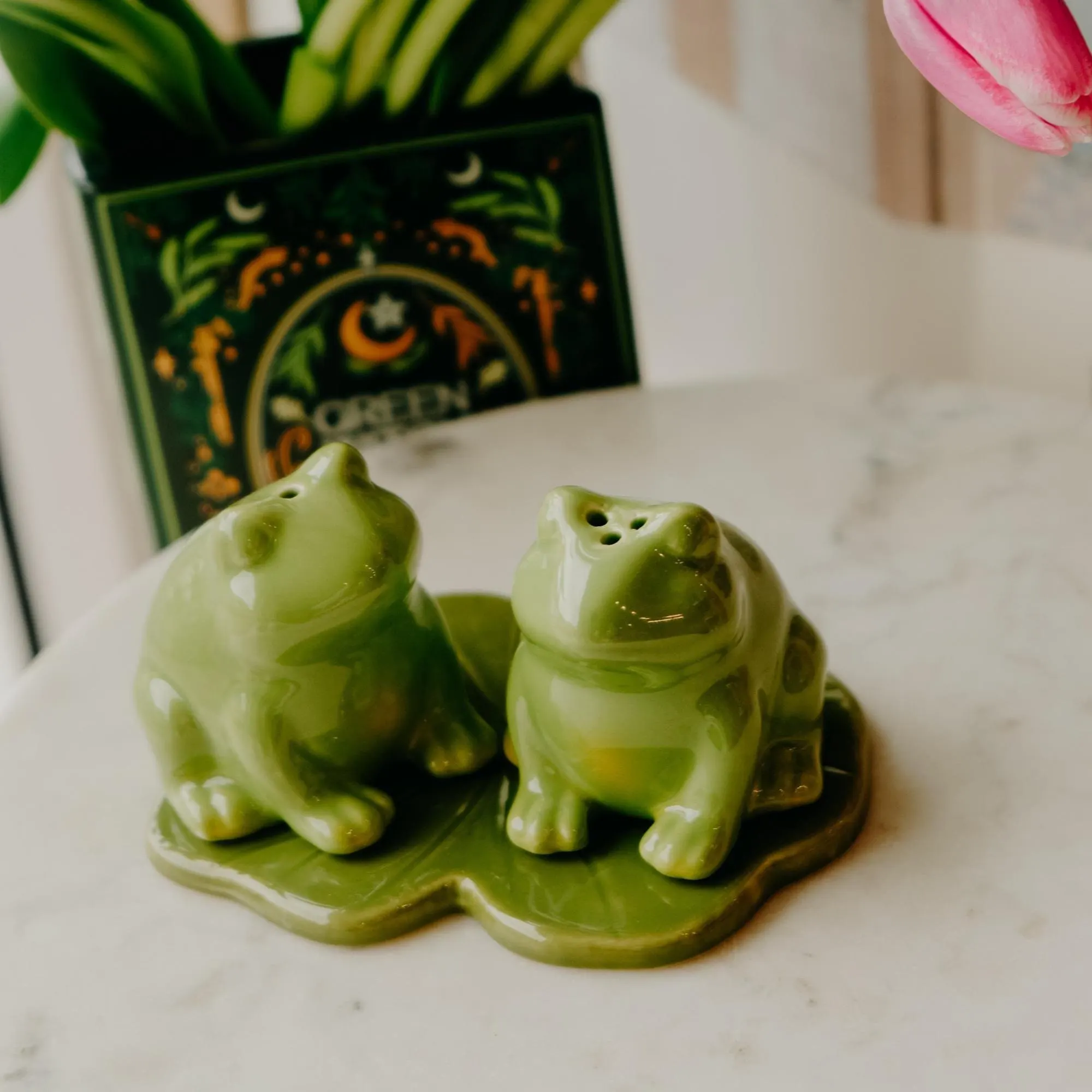 Cottagecore Frog Salt and Pepper Shakers | Whimsicle Fairytale Home Decor | Unique Gift for Frog Lovers | Cute Cottagecore Decor | Booktok