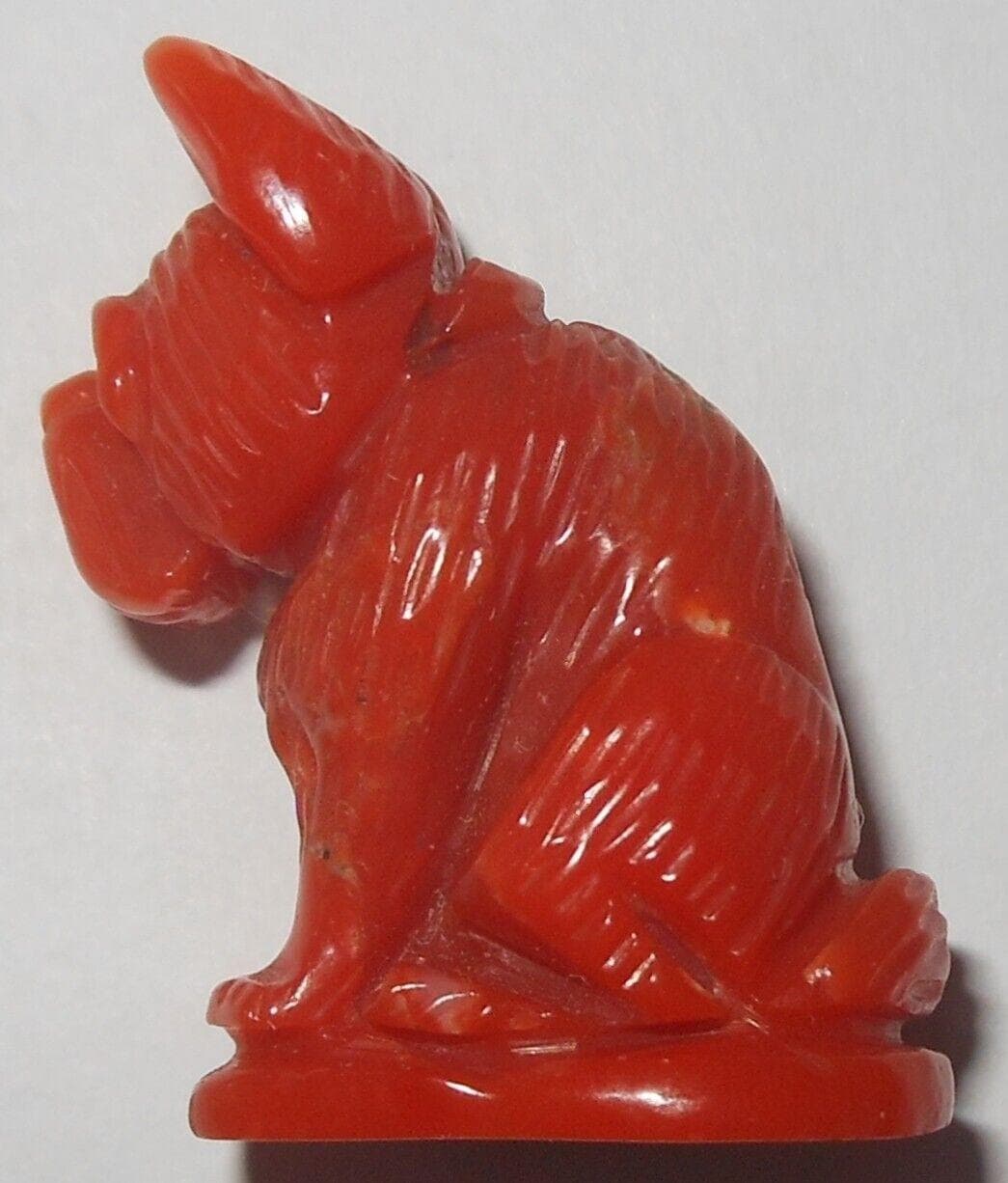 French Bulldog UNIQUE Coral Cameo sculpture. - image 5