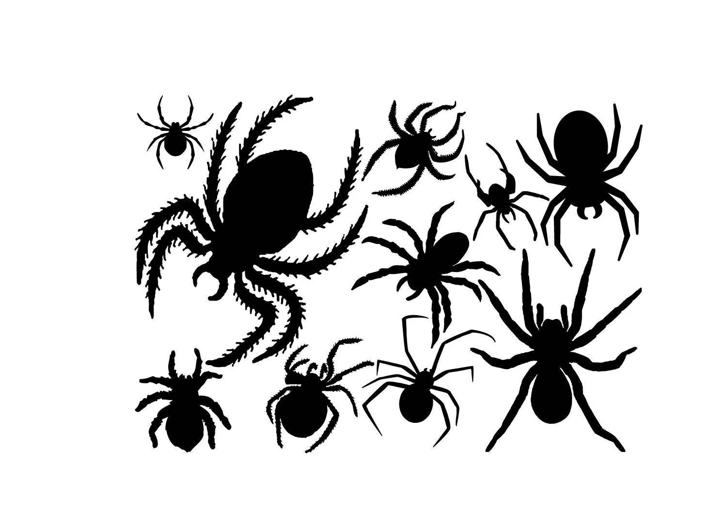 Spooky Spider Crawling Halloween Scary Vinyl Decal Sticker Car Window Wall Art - image 3