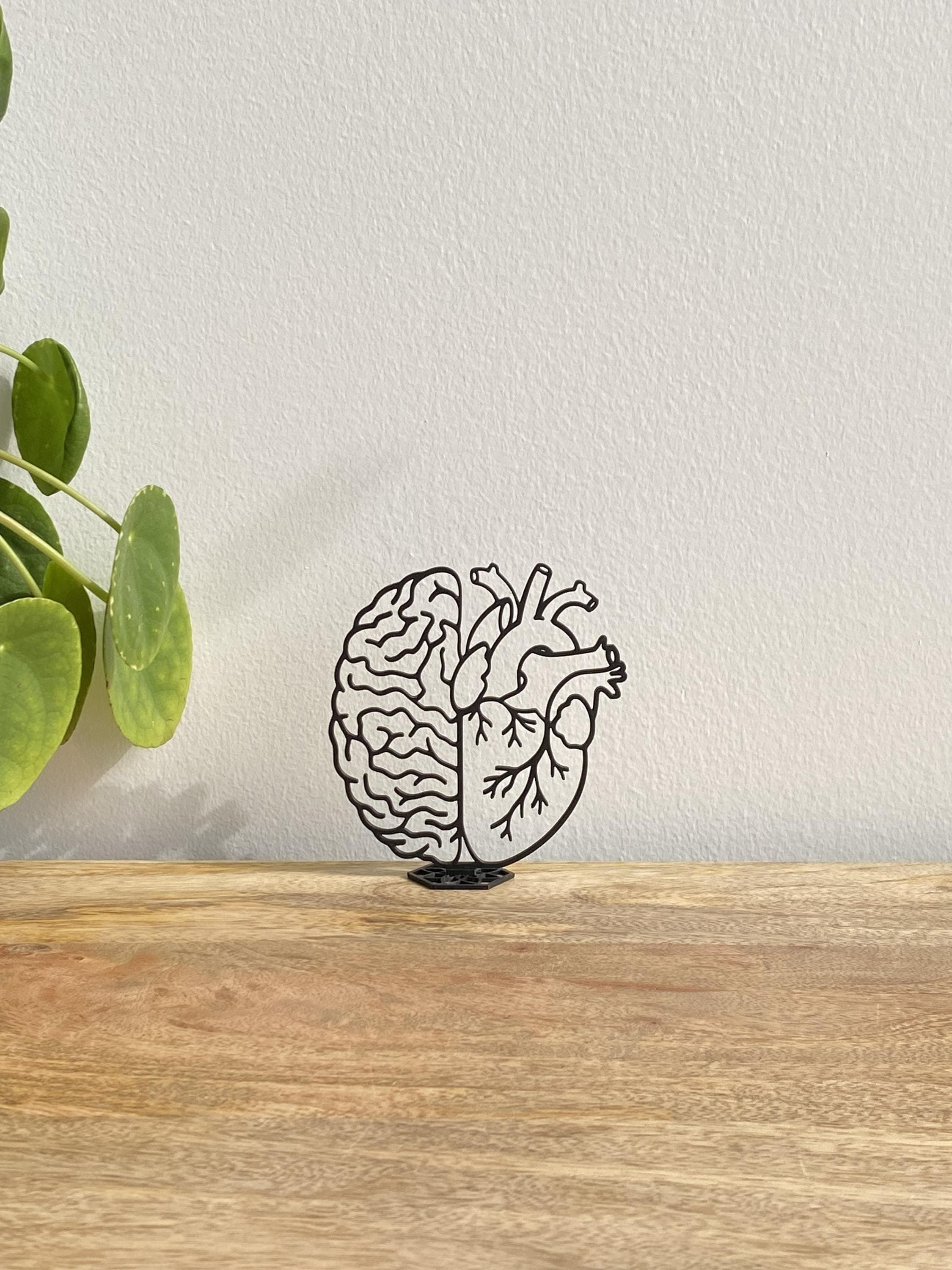 Brain and Heart Sculpture | Mind vs Heart Anatomy Decor Gift | 3D Printed