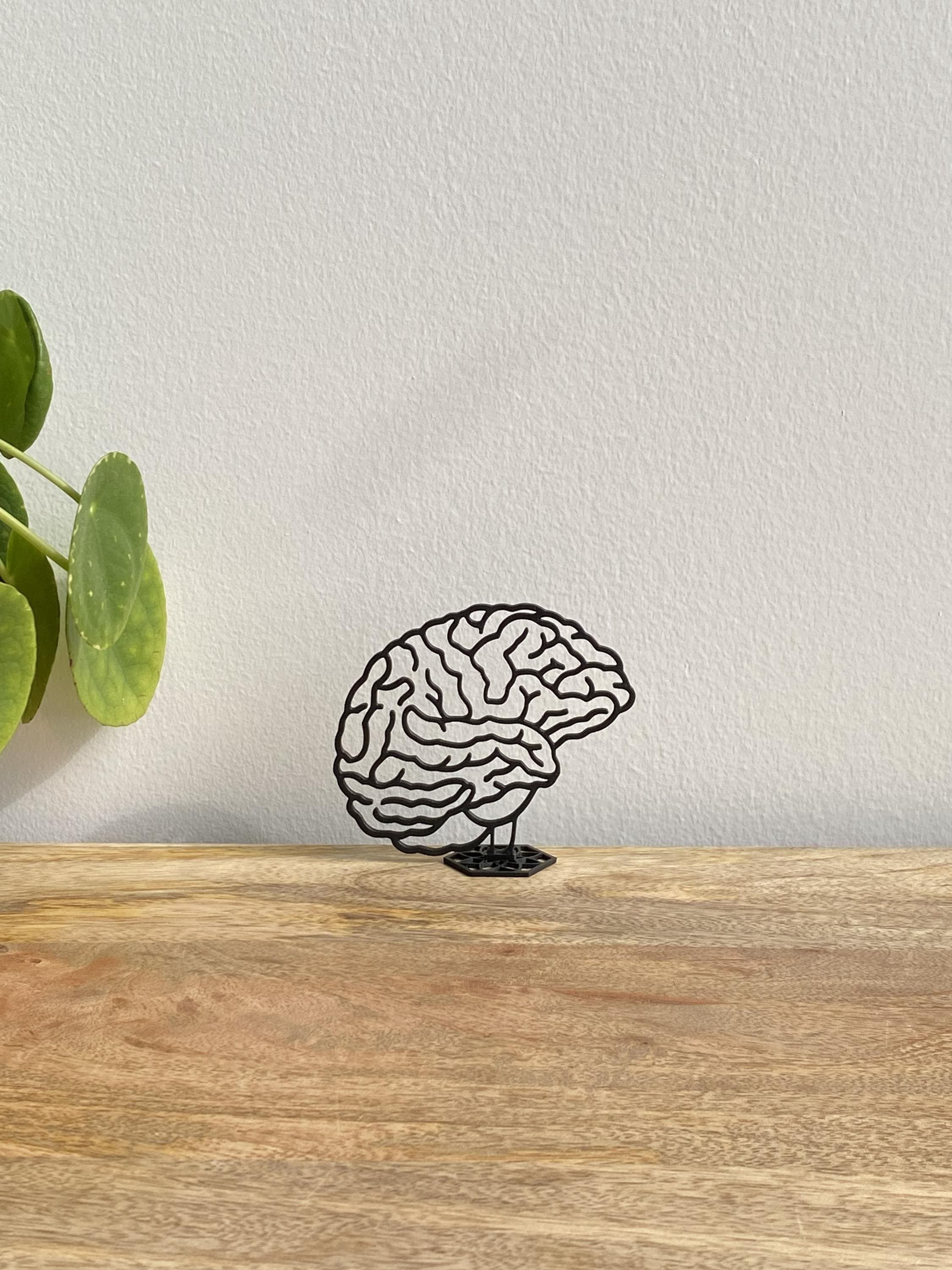 Human Brain Sculpture | Medical Gift | 3D Printed