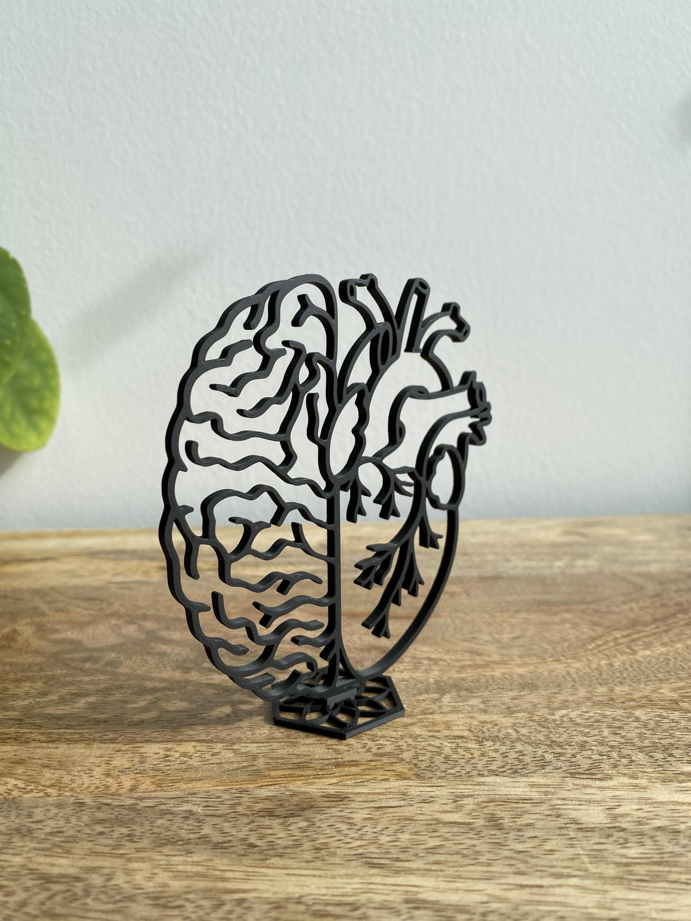 Brain and Heart Sculpture | Mind vs Heart Anatomy Decor Gift | 3D Printed - image 3