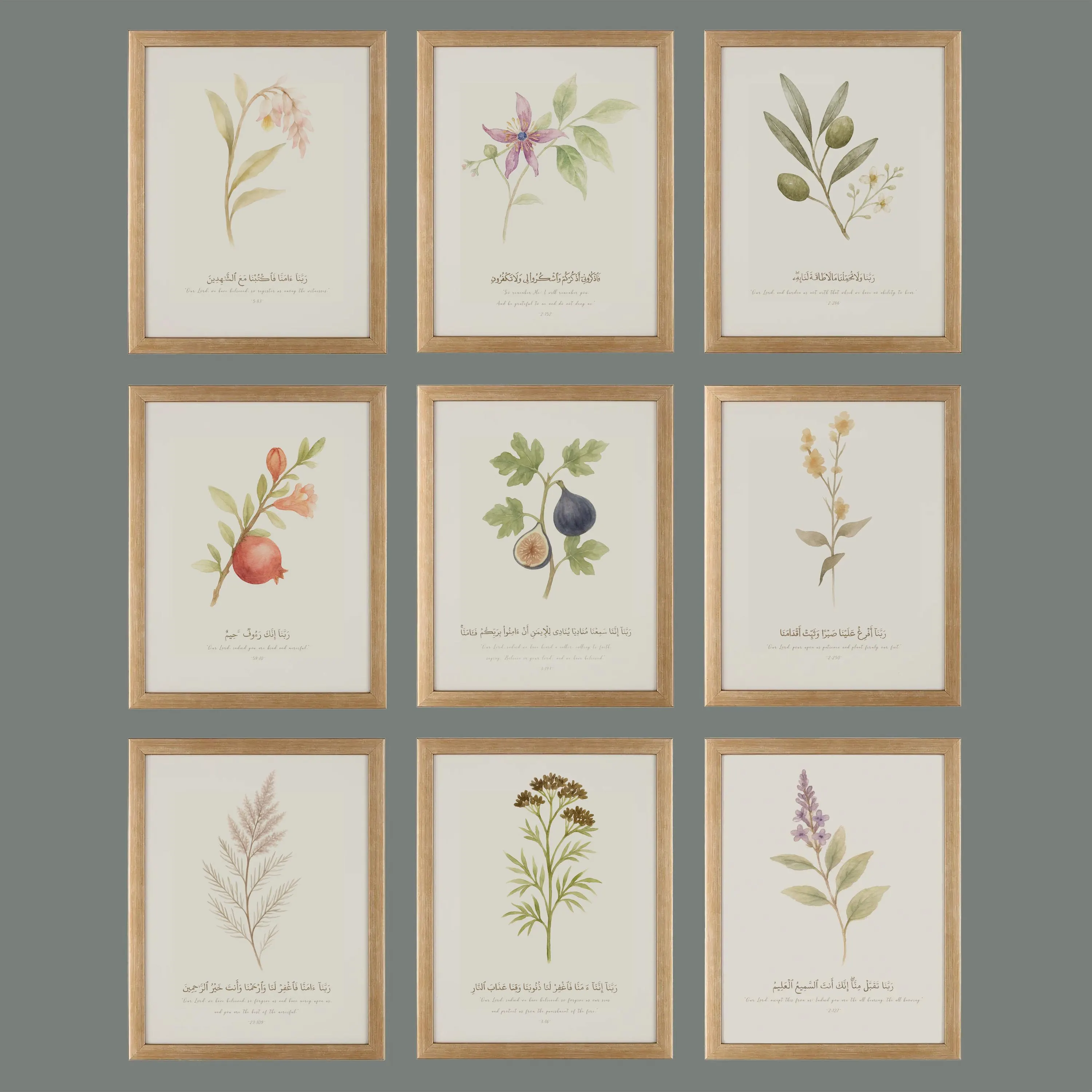 Framed Islamic Gallery Wall Art Set of 9: Plants of the Quran Dua Muslim Wall Decor, Surah Wall Art - image 4