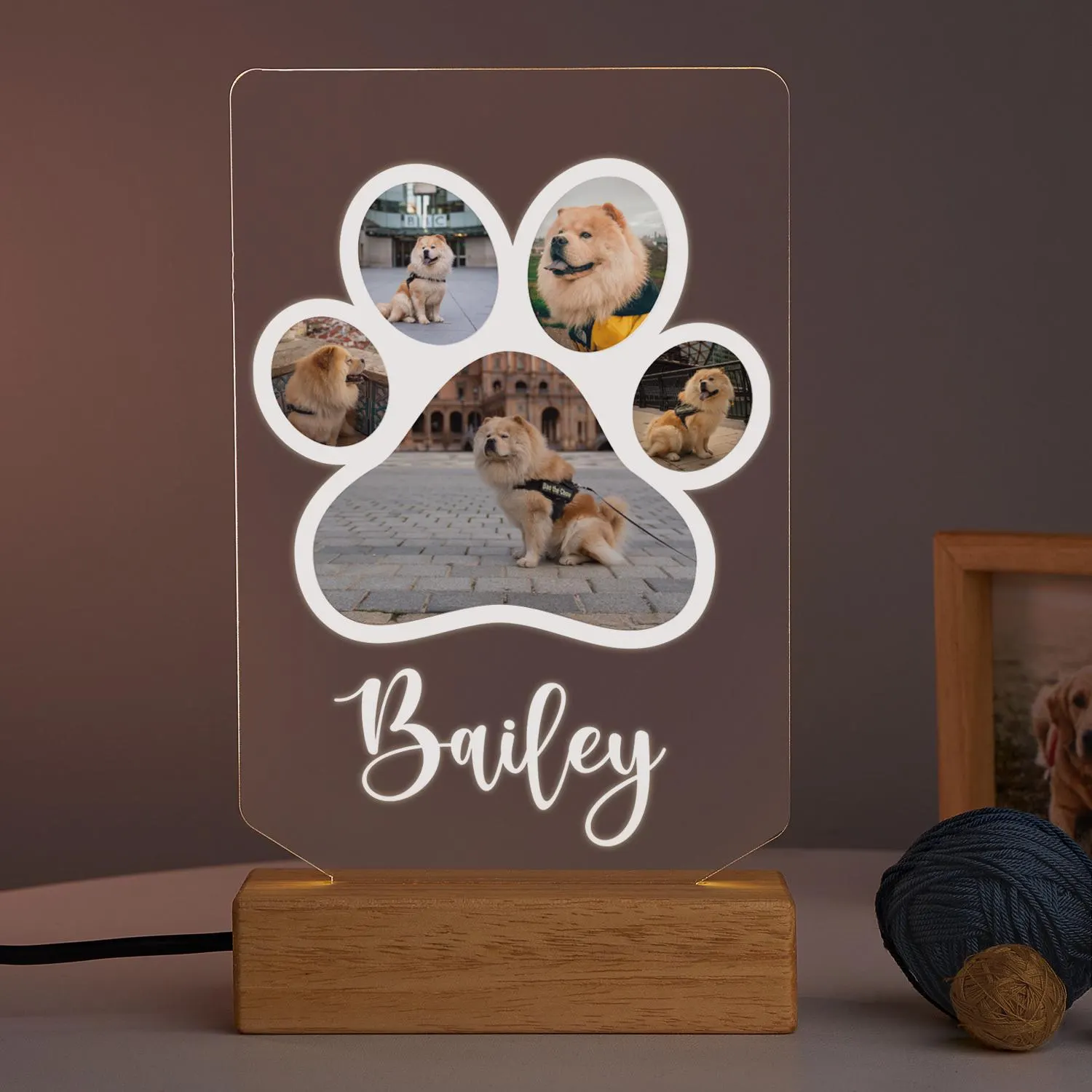 Custom Pet Portrait LED Lamp, Personalised Pet Memorial, Pet Loss Tribute, Paw Print Photo Sign, Sympathy Gifts for Dog Mom or Cat Mom Dad - image 3