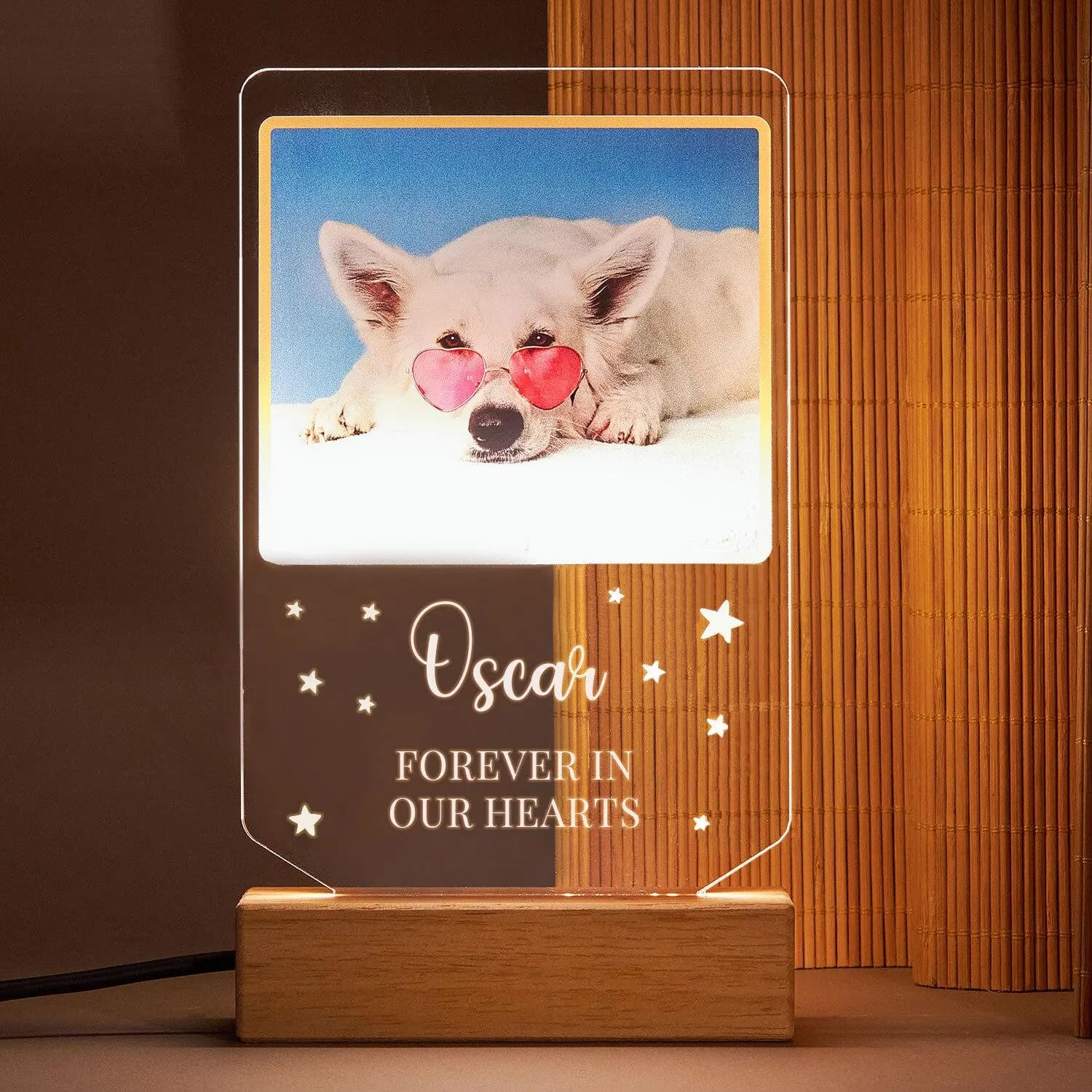 Custom Pet Portrait LED Lamp, Personalised Pet Memorial, Pet Loss Tribute, Paw Print Photo Sign, Sympathy Gifts for Dog Mom or Cat Mom Dad