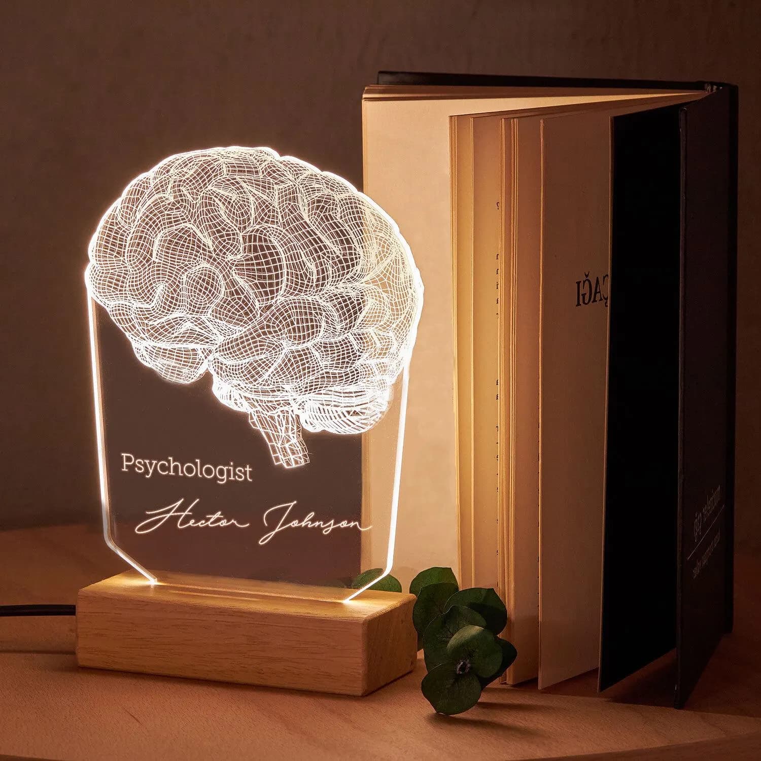 Personalised Caduceus LED Lamp: Custom Clinic Name Plate, Doctor Gift - image 4