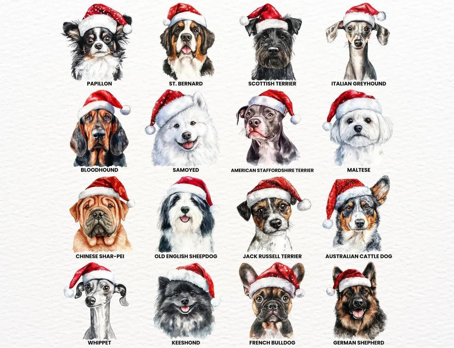 a collage of 12 dog portraits, each wearing a Santa hat, with the names of the breeds labeled below them.