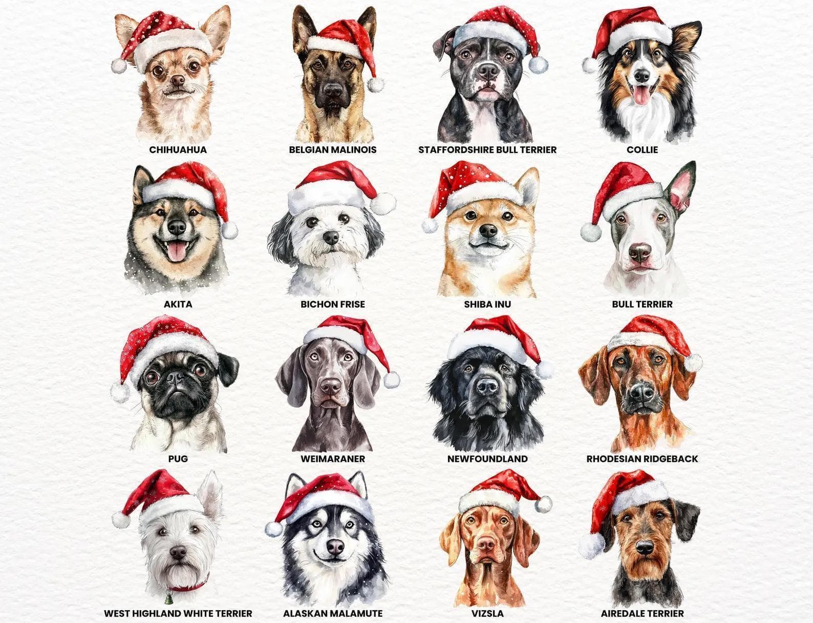 a collage of 12 dog portraits, each wearing a Santa hat, with the names of the breeds written below them.